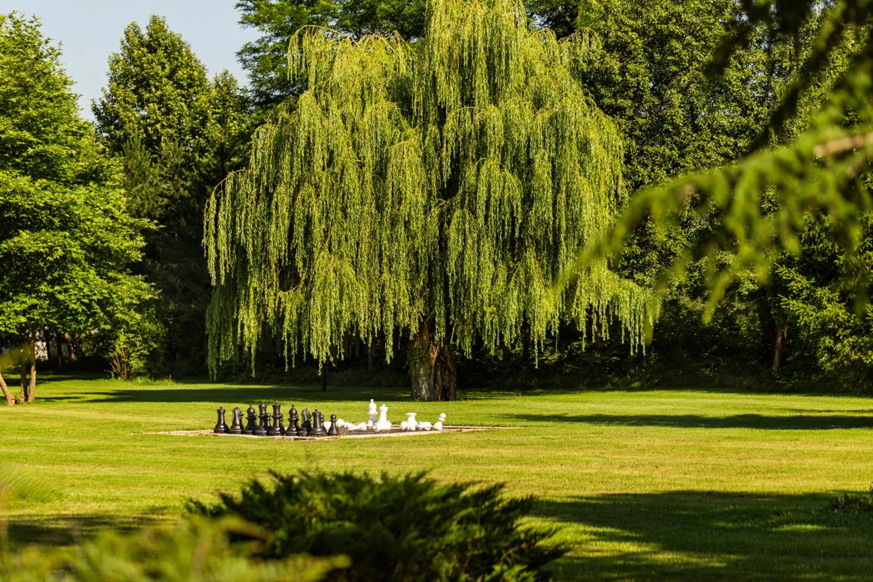 Garden in Hyatt Regency Pravets Resort