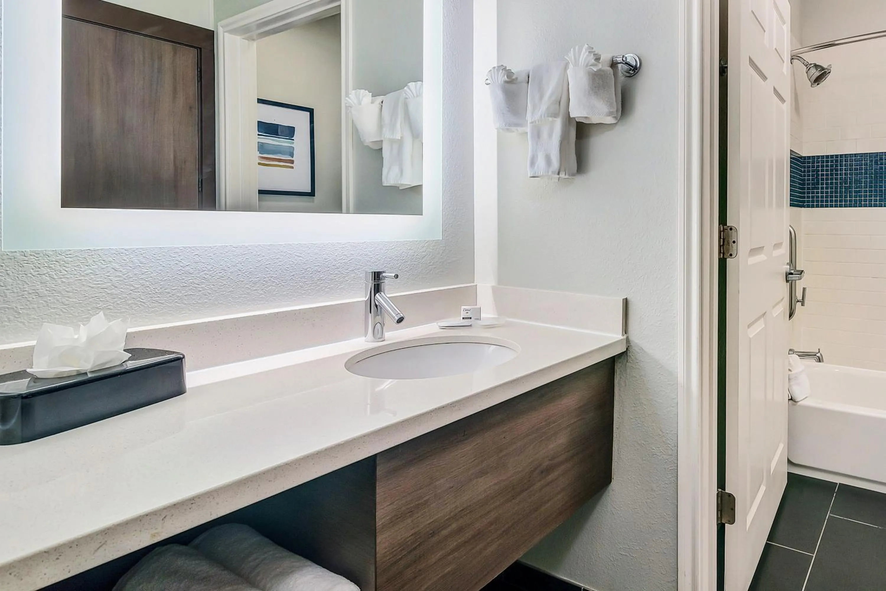 Bathroom in Staybridge Suites Tyler University Area by IHG