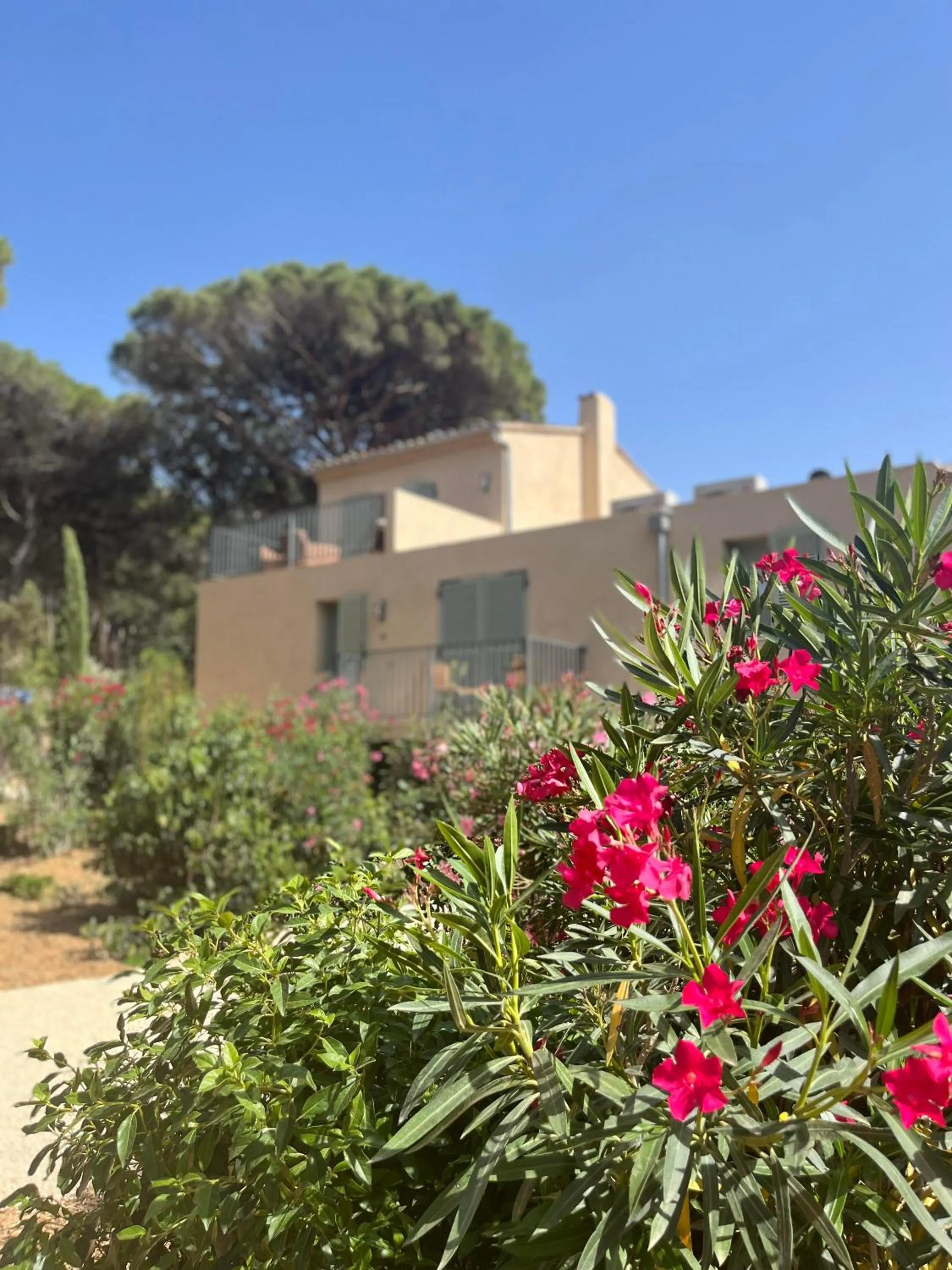 Property building in Hôtel L'Escalet