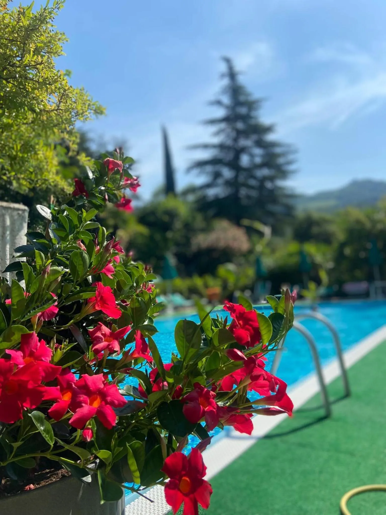 Residence Concaverde