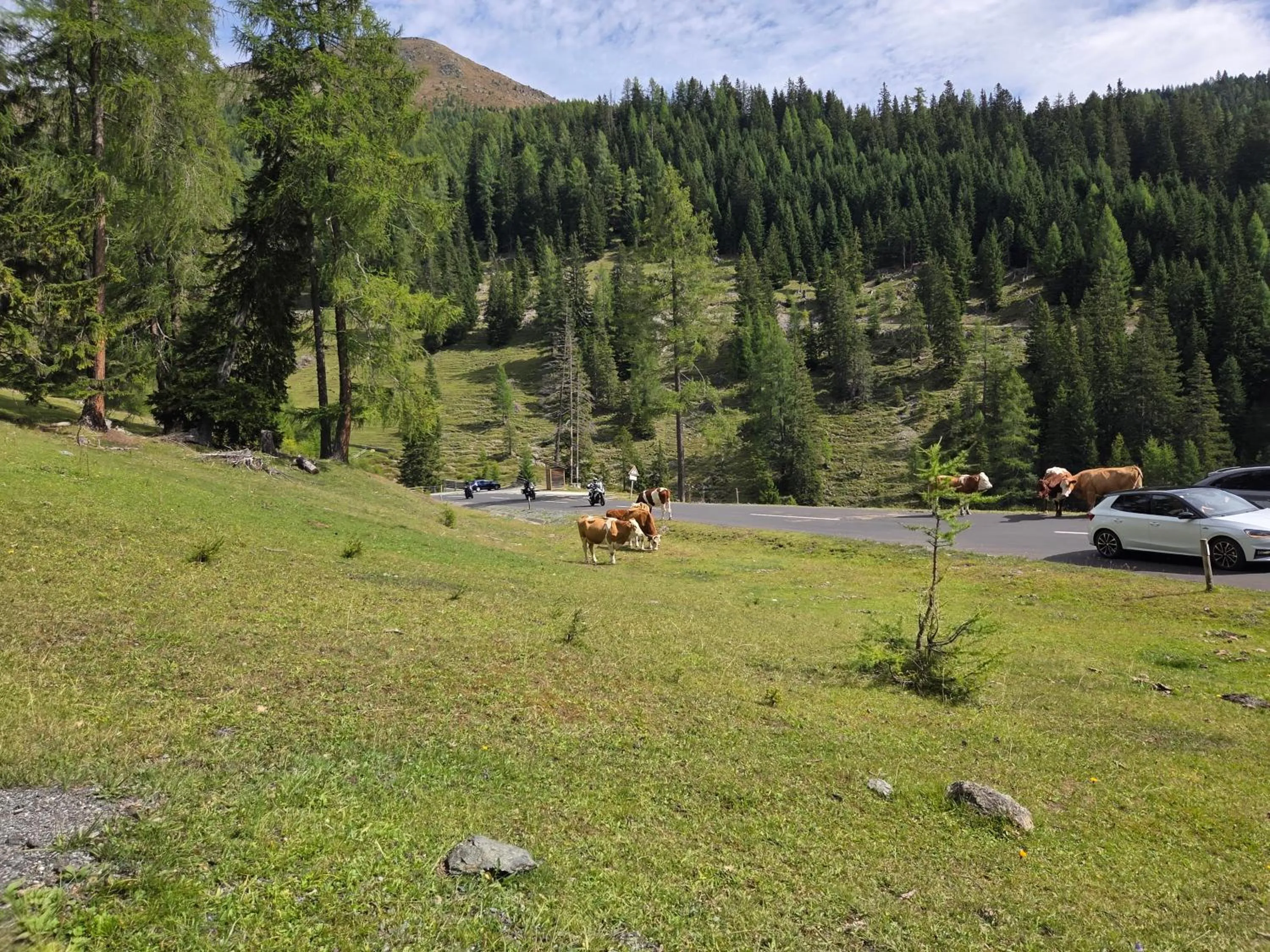 Day in Hotel Restaurant Raunig