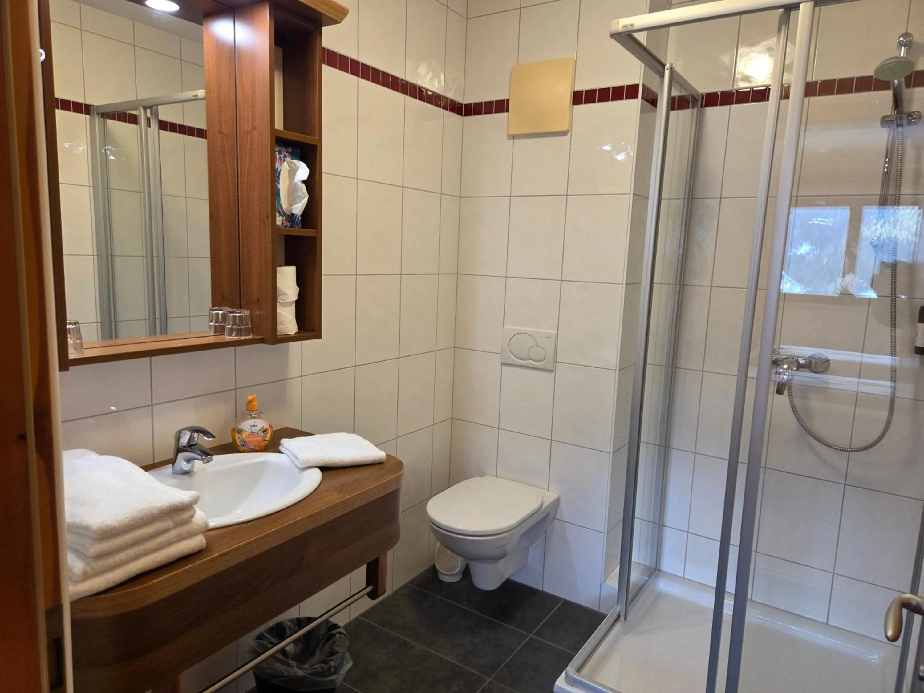 Bathroom in Hotel Restaurant Raunig