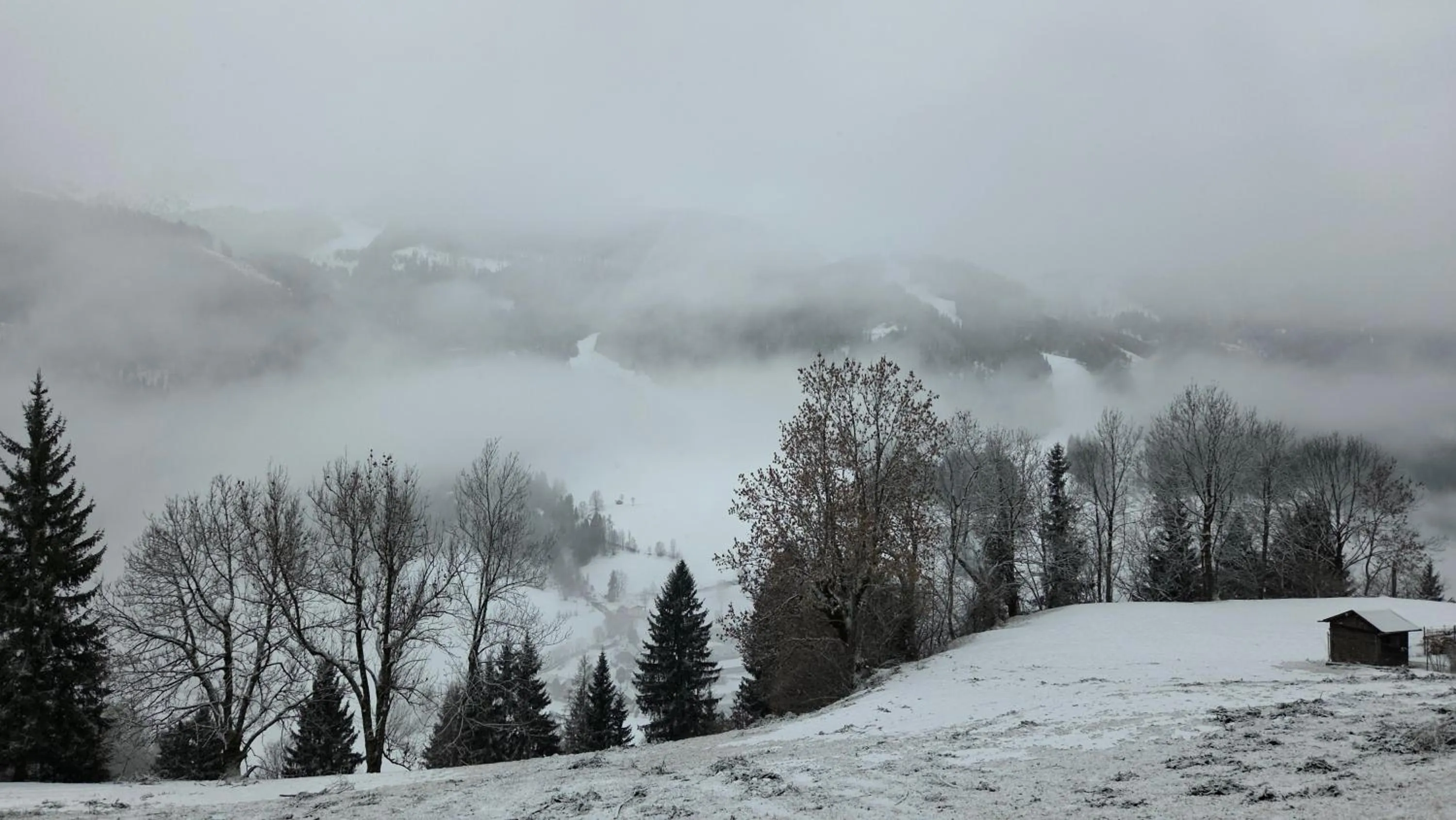 View (from property/room) in Hotel Restaurant Raunig