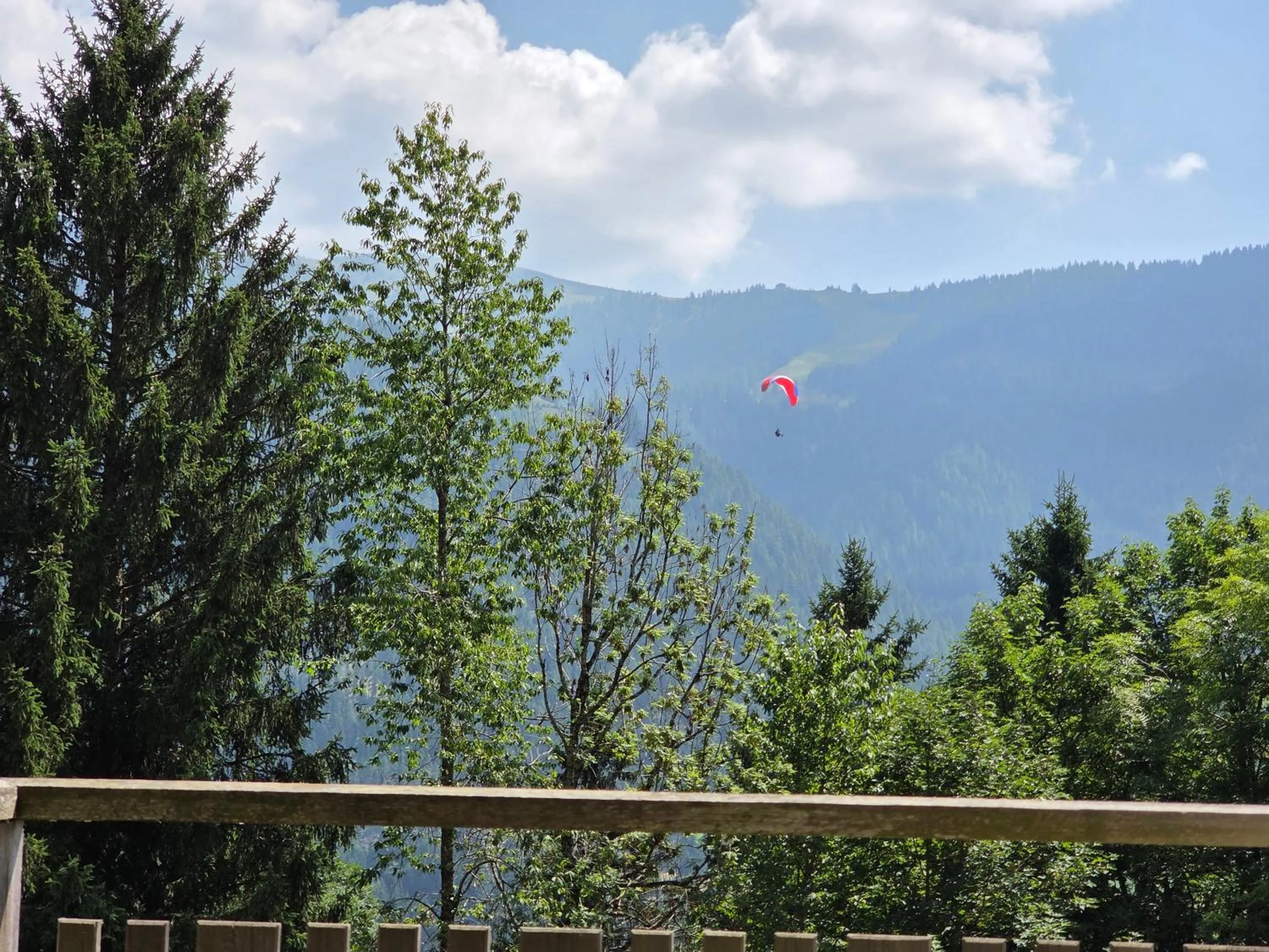 Spring in Hotel Restaurant Raunig