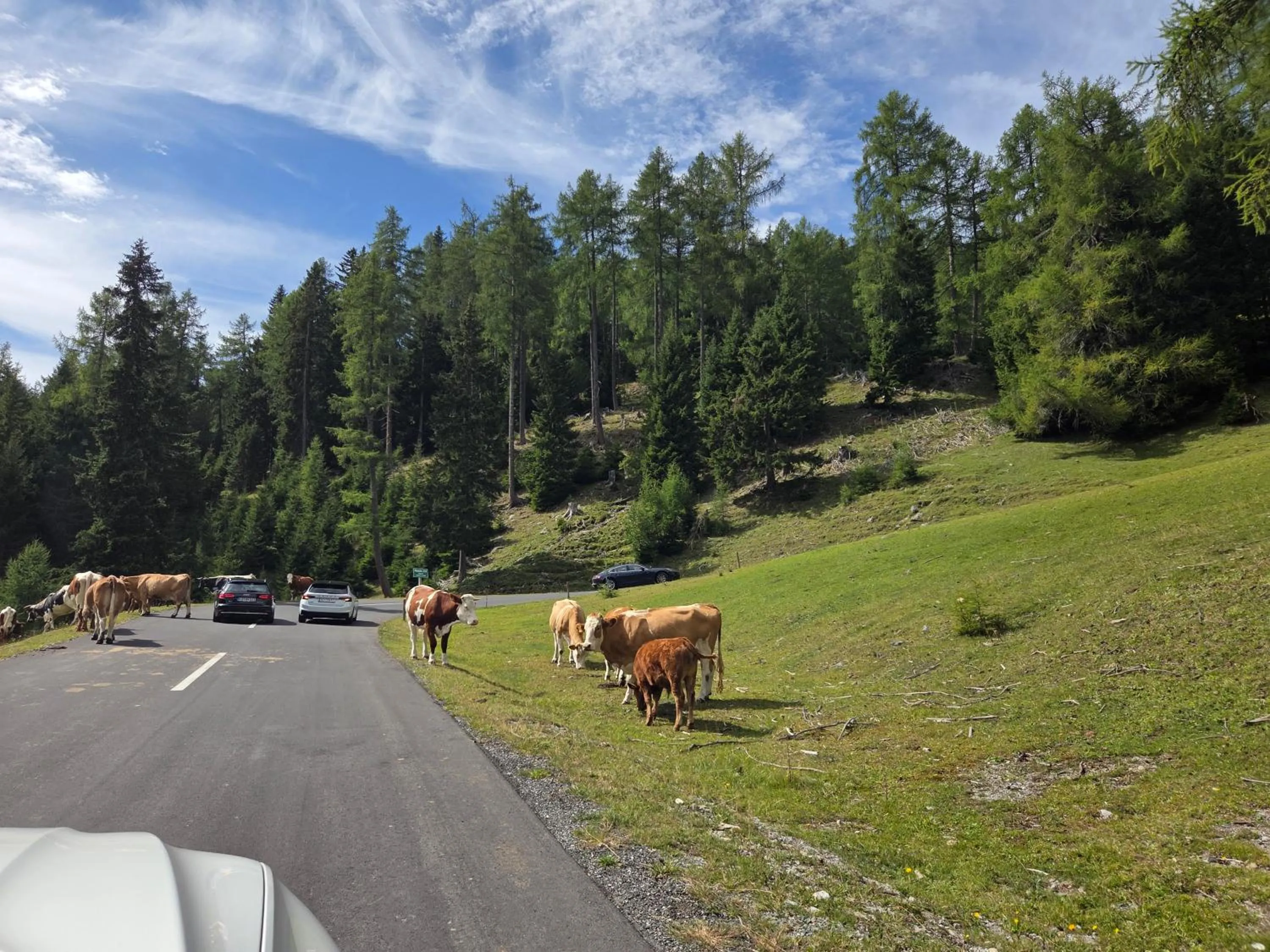 Day in Hotel Restaurant Raunig