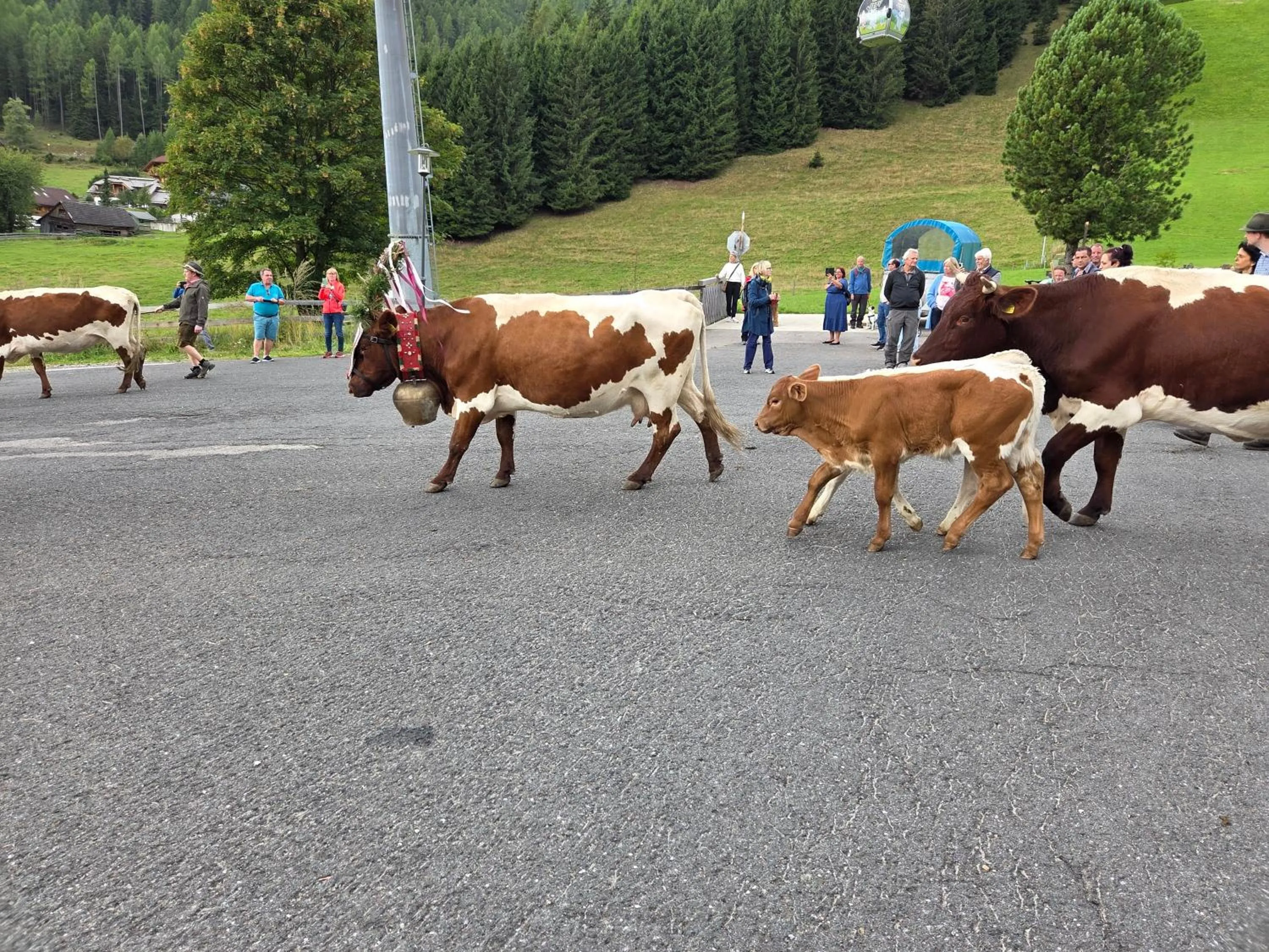 Day in Hotel Restaurant Raunig