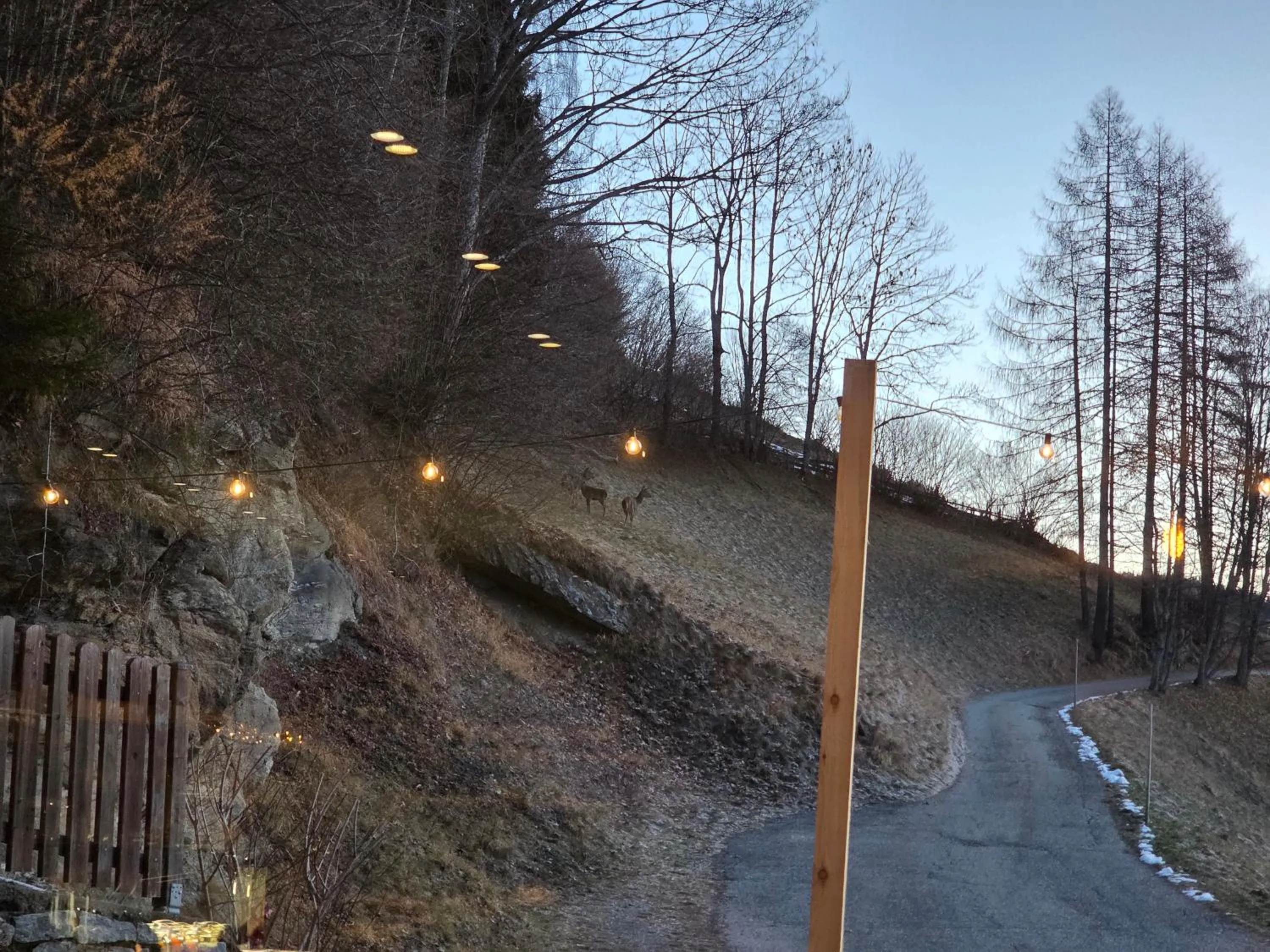 View (from property/room) in Hotel Restaurant Raunig