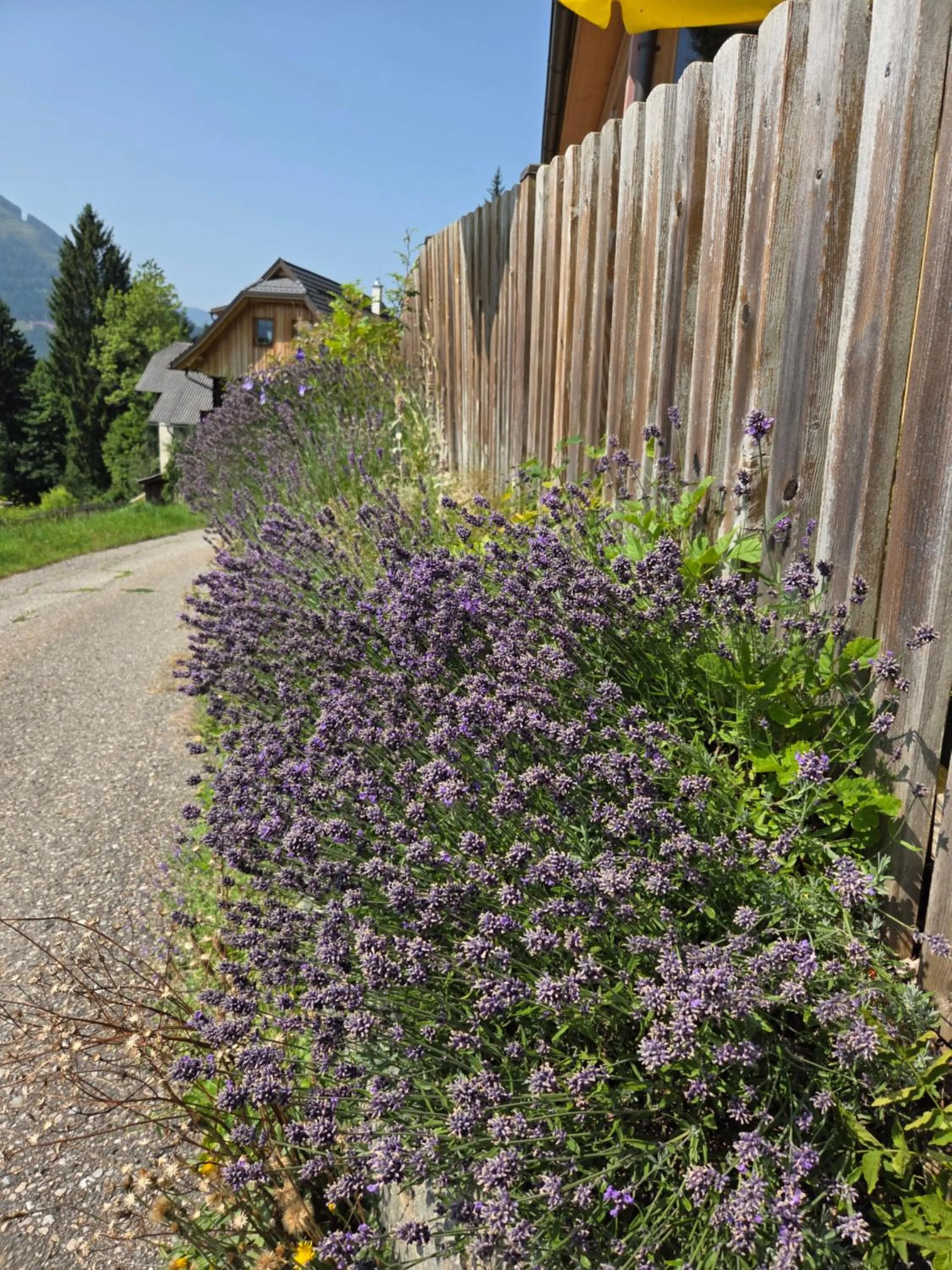 Property building in Hotel Restaurant Raunig