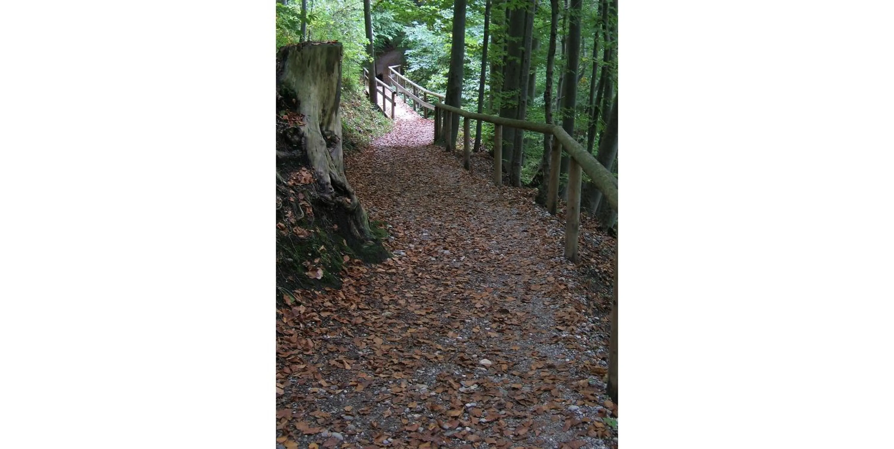 Area and facilities in Hotel Kolbergarten