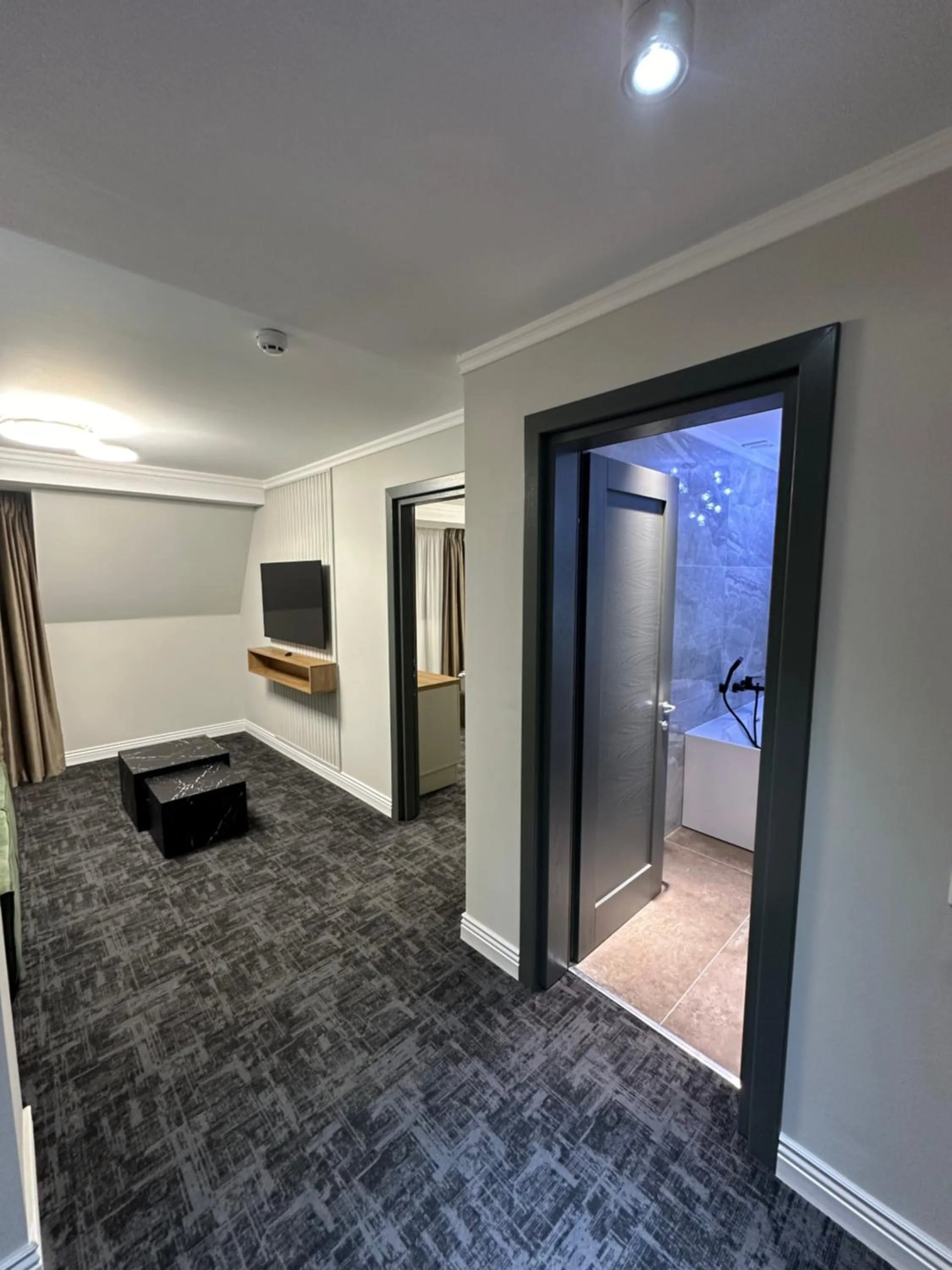 TV and multimedia in Hotel Zamca Suceava