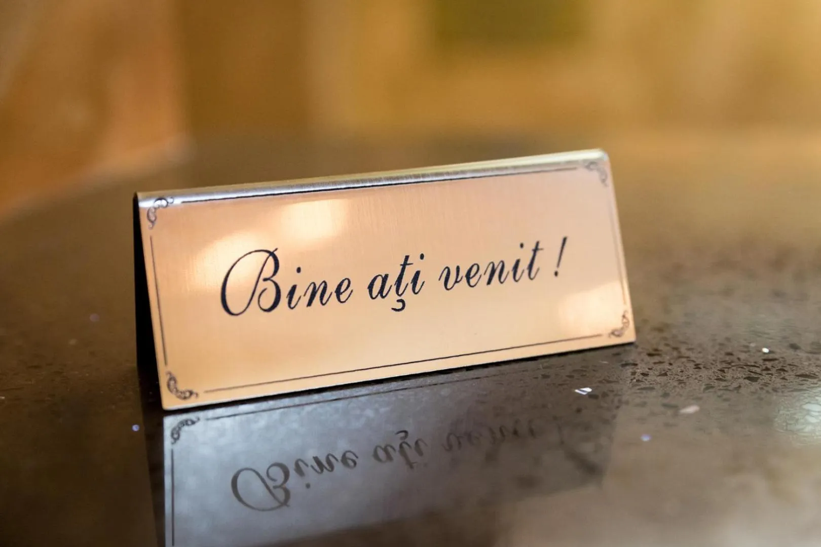 Decorative detail in Hotel Zamca Suceava