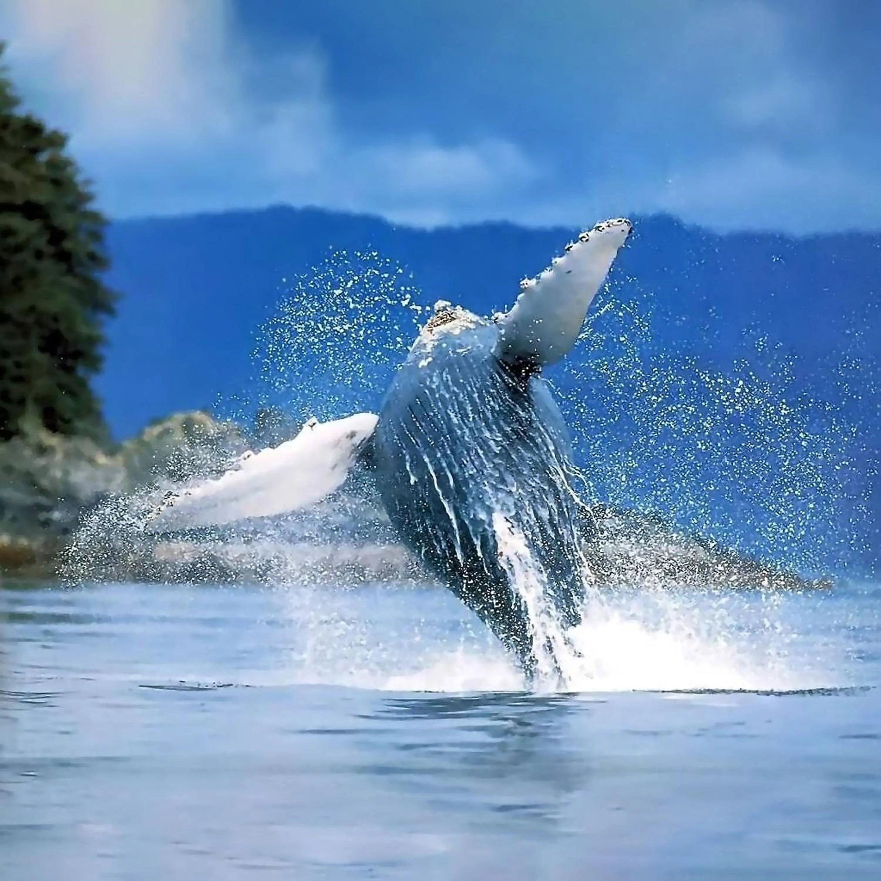 Off site in Paradiso del Caribe