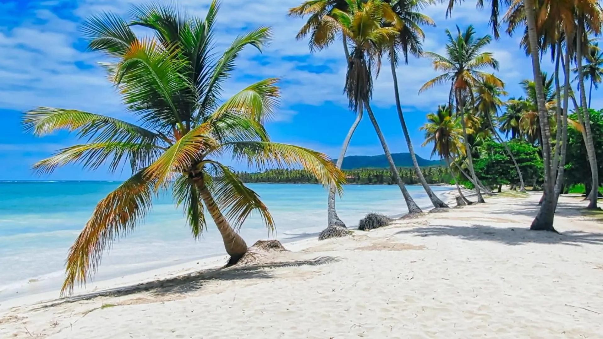 Nearby landmark in Paradiso del Caribe