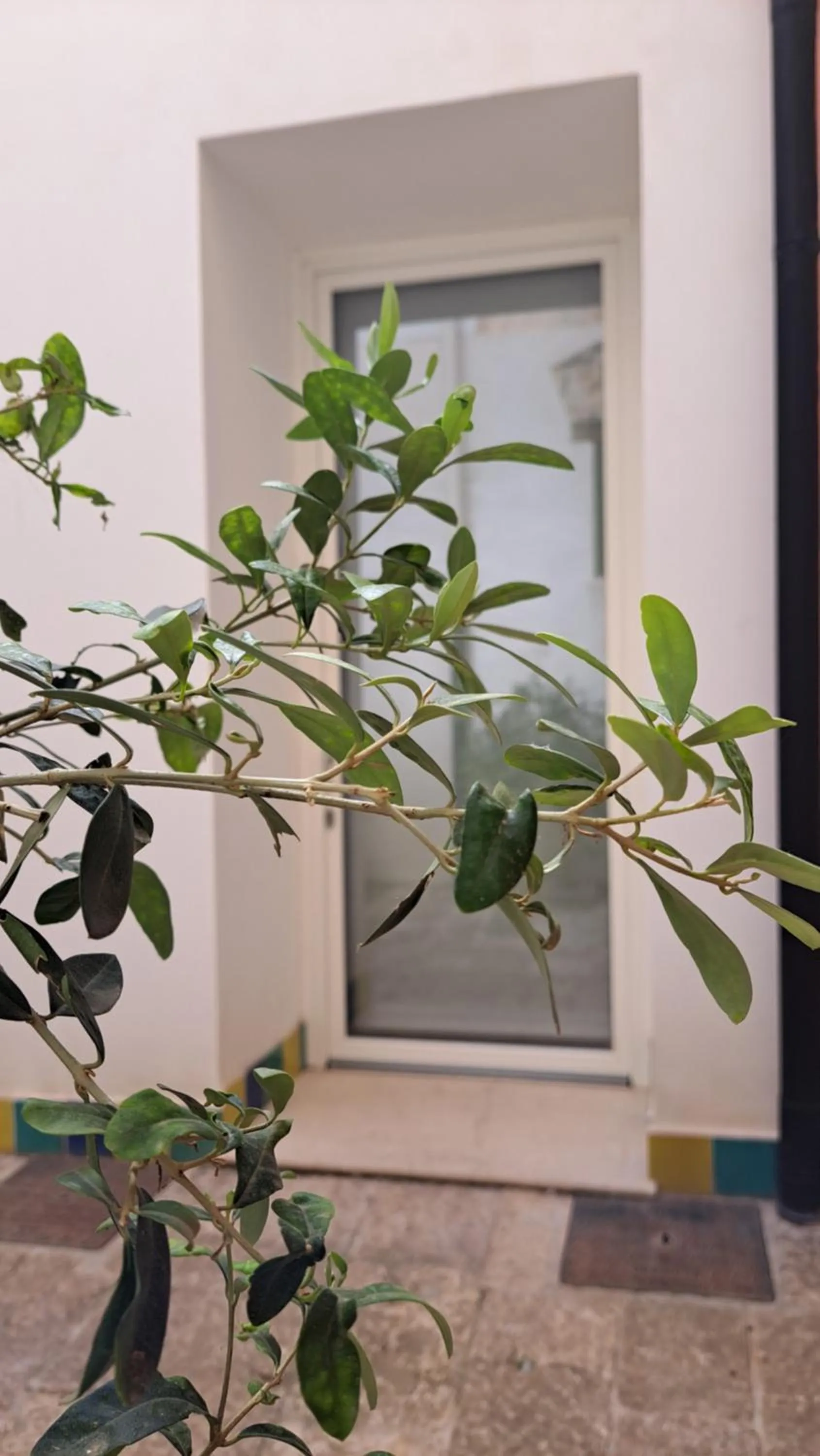 Photo of the whole room in B&B Garibaldi