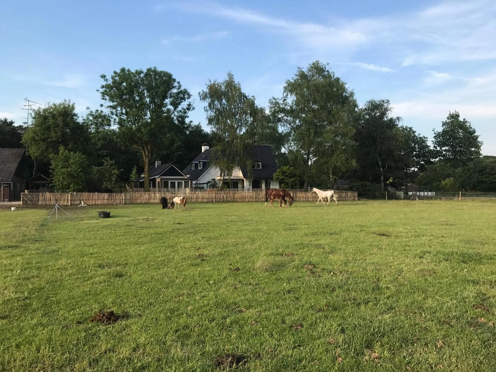 View (from property/room) in Bed & Breakfast de Zandhoef