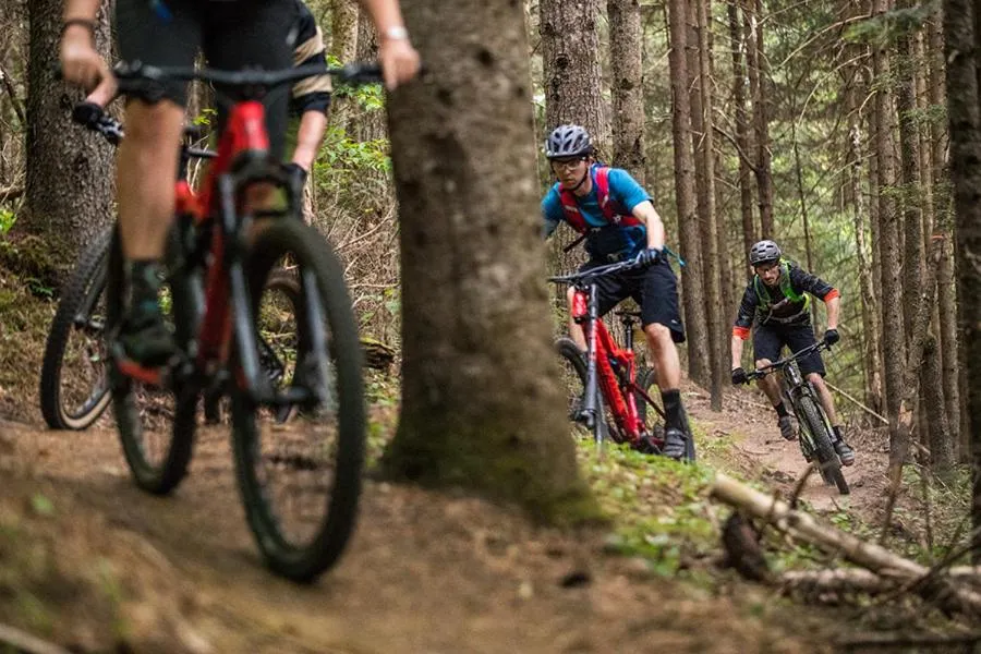 Cycling in Bed & Breakfast de Zandhoef