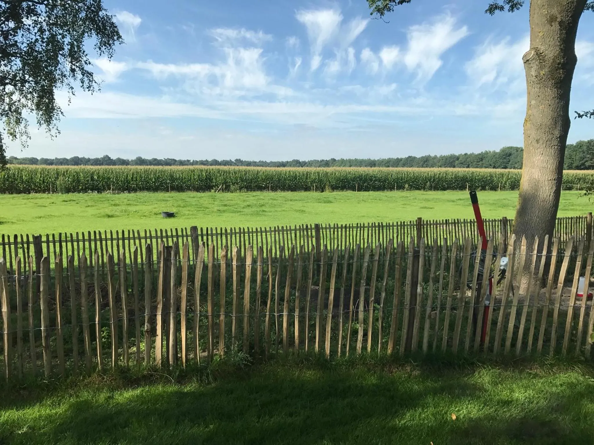 View (from property/room) in Bed & Breakfast de Zandhoef