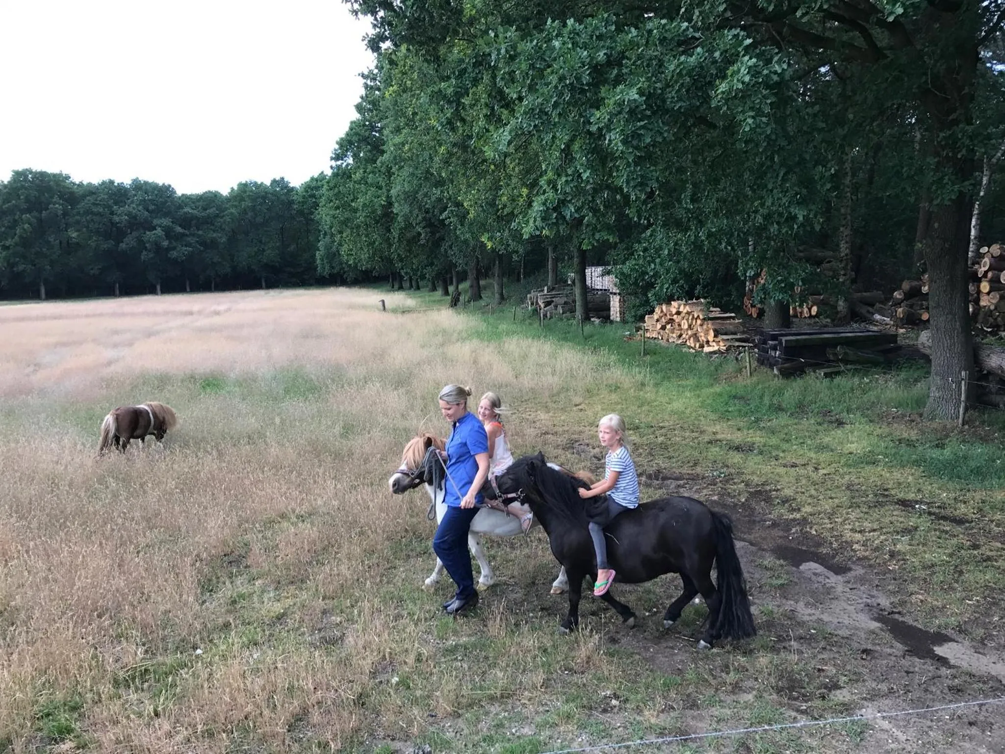 Natural landscape in Bed & Breakfast de Zandhoef