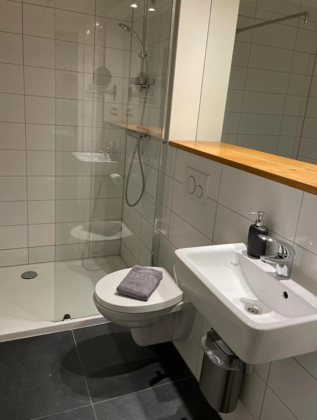 Bathroom in Die zwei Löwen Ferienwohnungen
