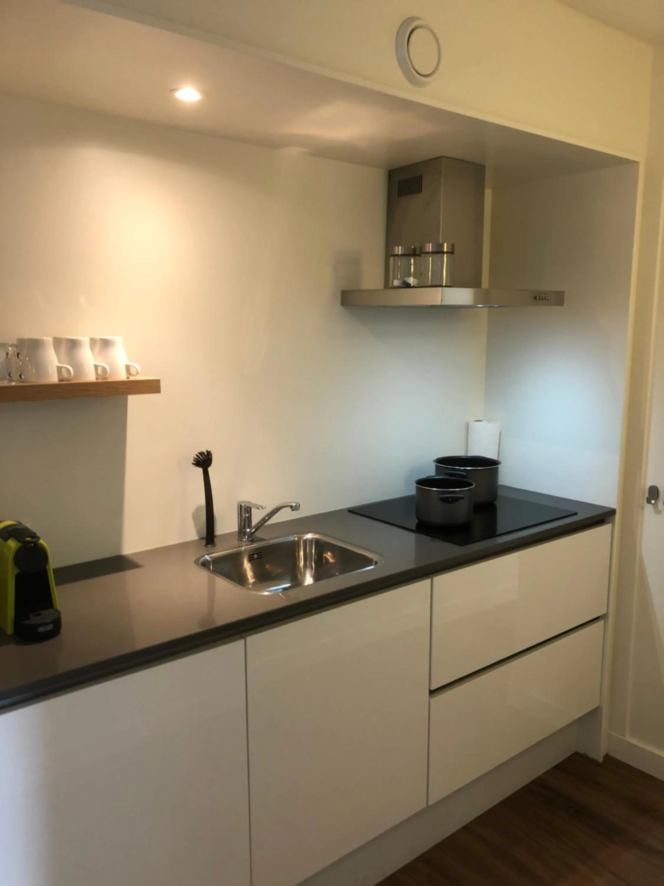 kitchen in Die zwei Löwen Ferienwohnungen