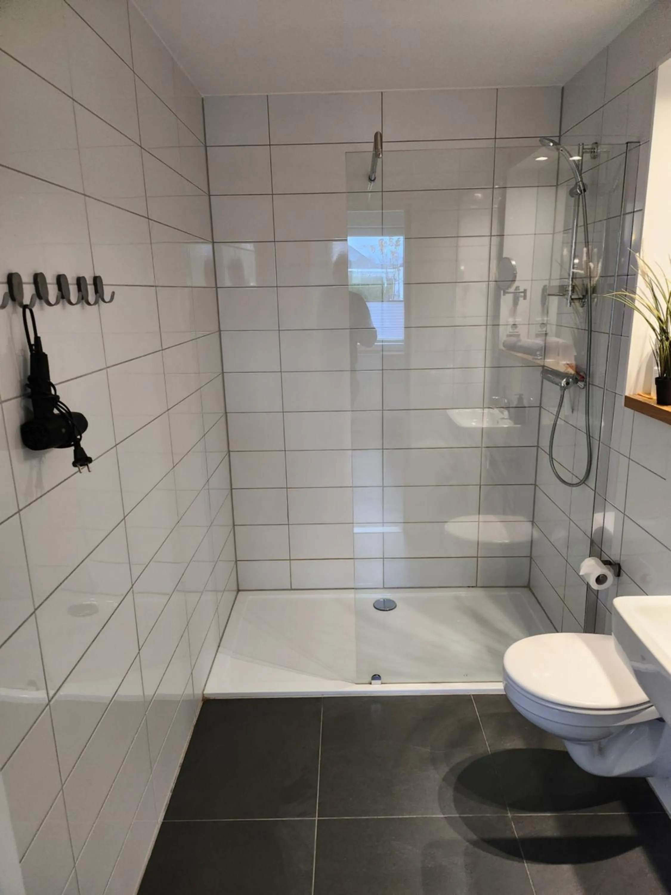 Bathroom in Die zwei Löwen Ferienwohnungen