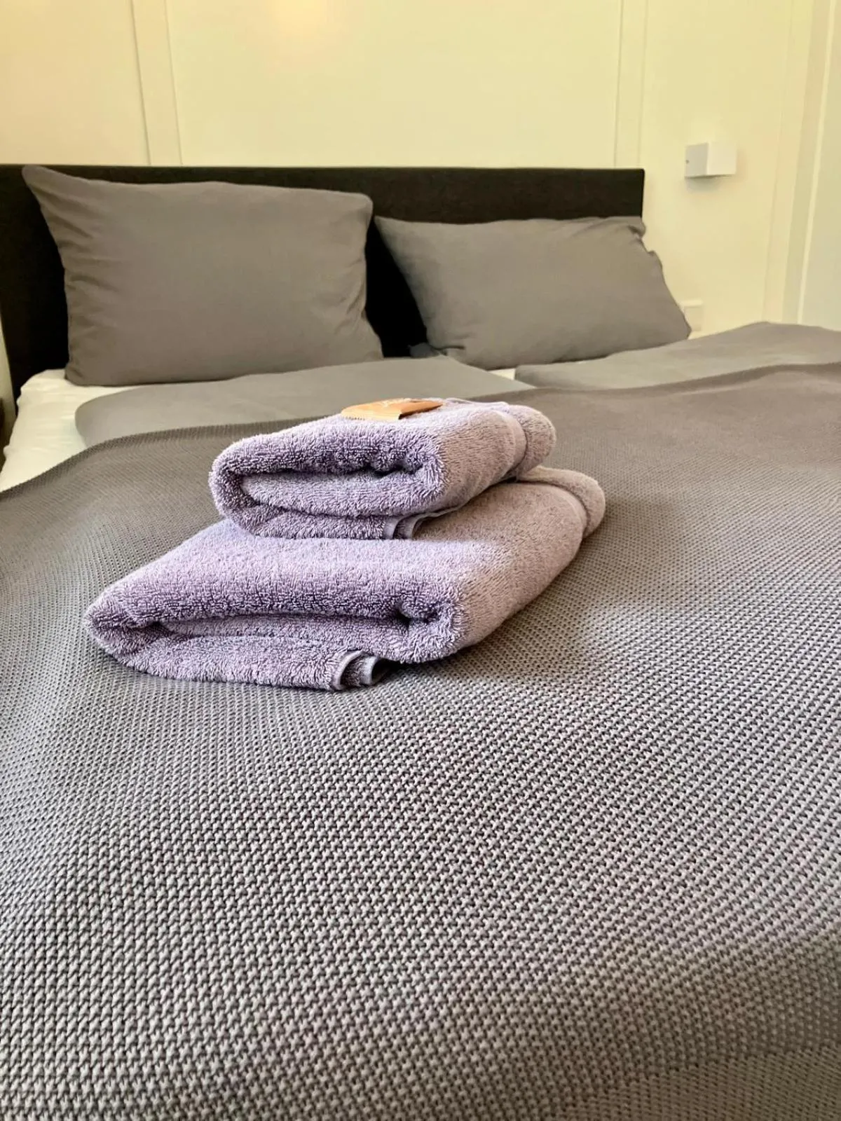 Bed in Die zwei Löwen Ferienwohnungen
