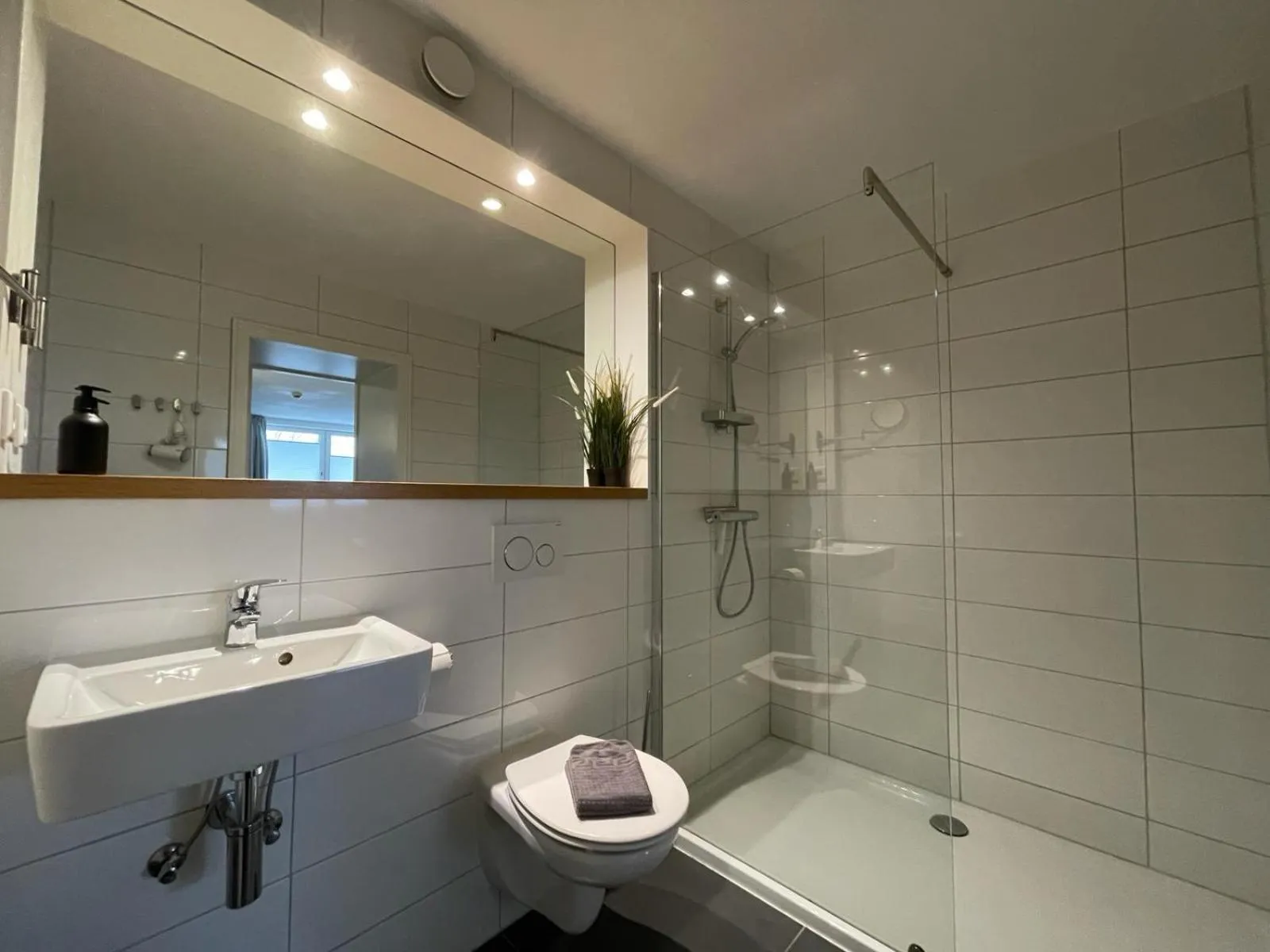 Bathroom in Die zwei Löwen Ferienwohnungen