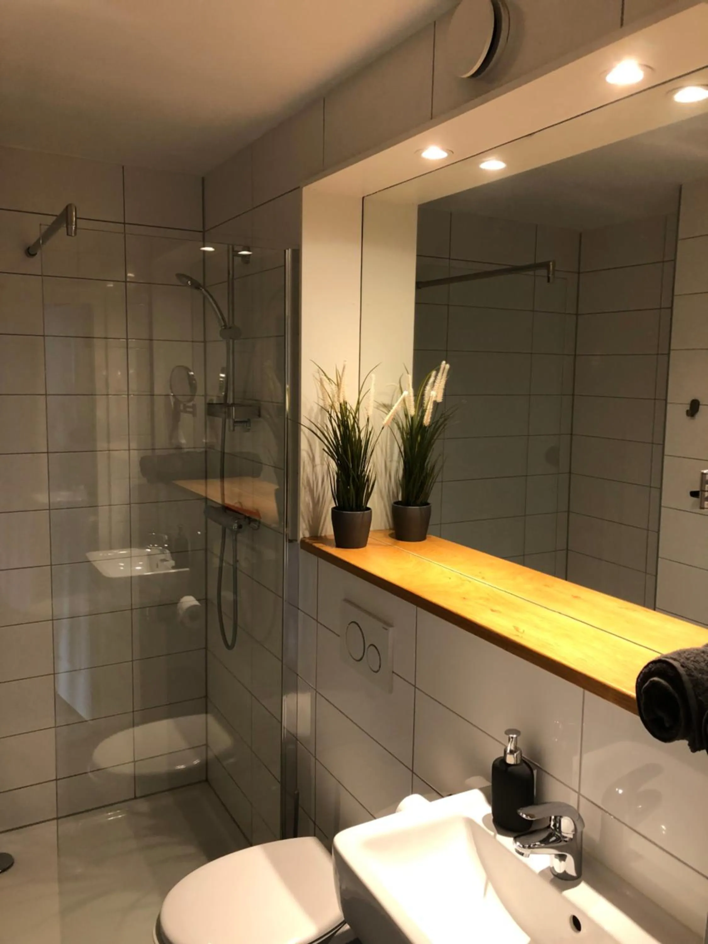 Bathroom in Die zwei Löwen Ferienwohnungen