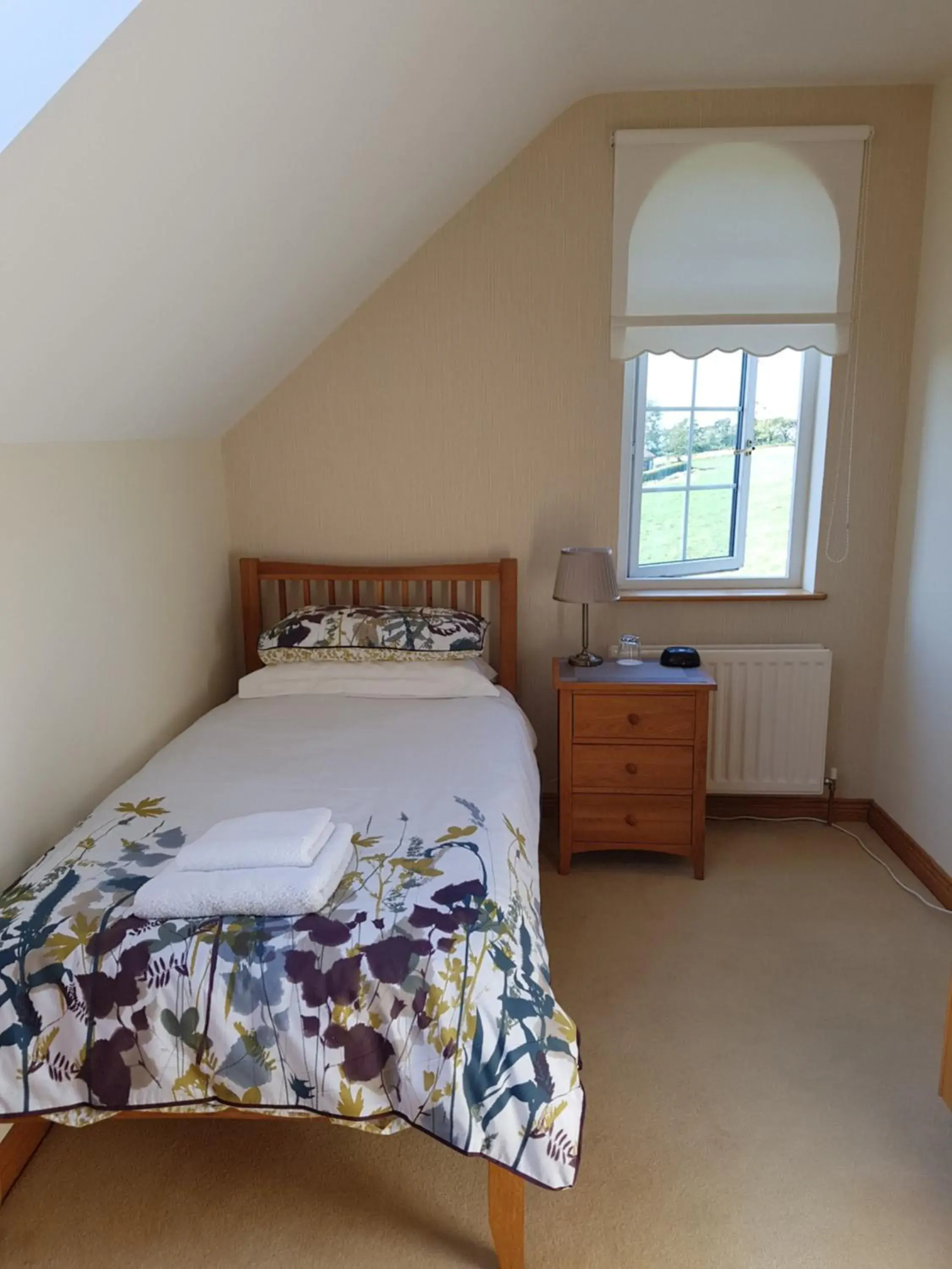 Single Room with Private Bathroom - single occupancy in Kilcreeny Lodge Single Room with Private Bathroom - single occupancy in Kilcreeny Lodge
