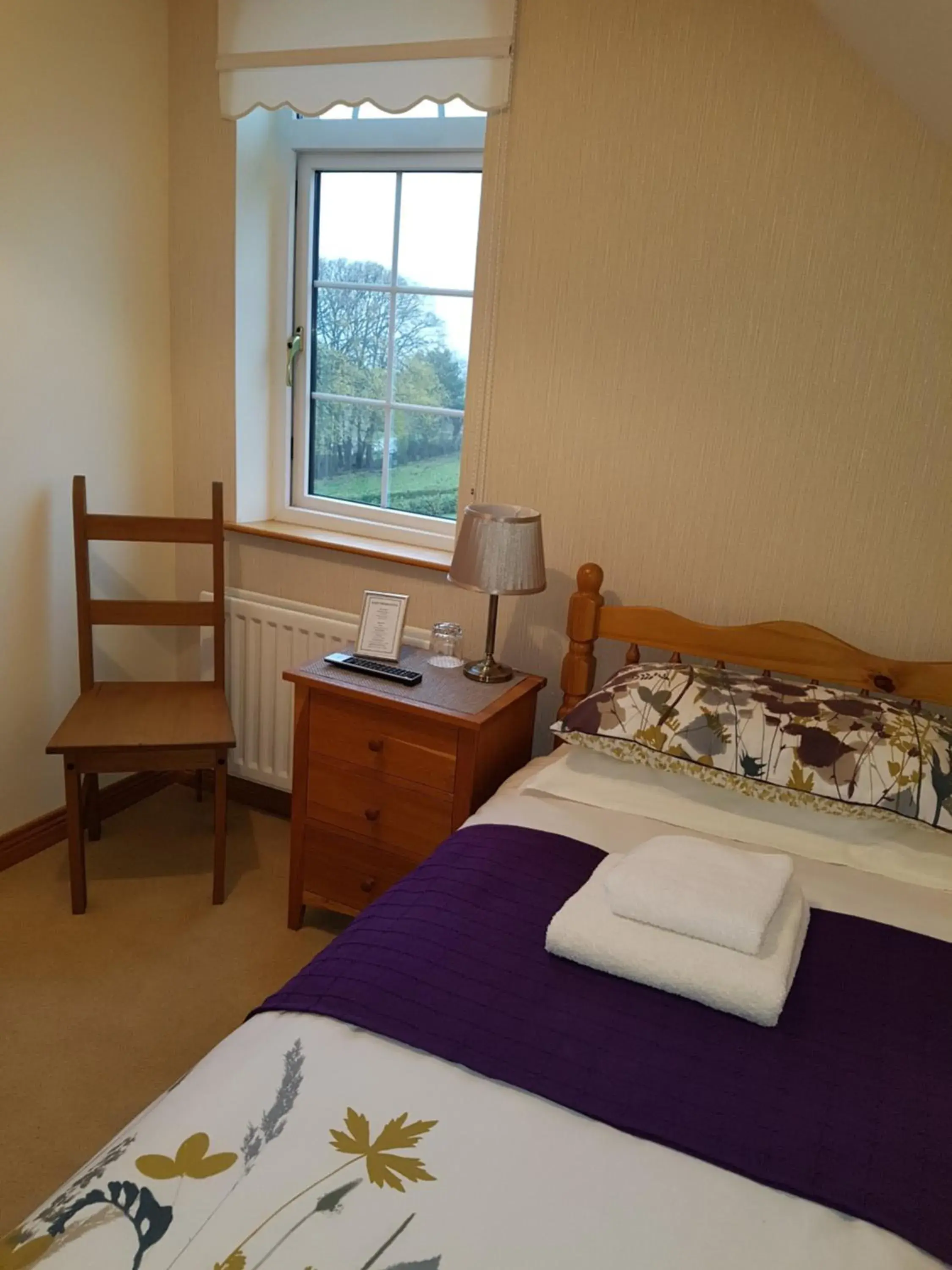Small Single Room - single occupancy in Kilcreeny Lodge Small Single Room - single occupancy in Kilcreeny Lodge