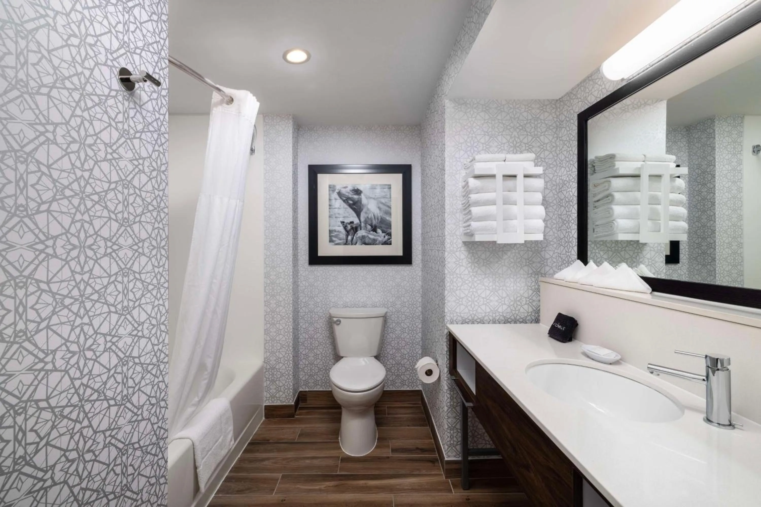 Bathroom in Hampton Inn & Suites State College at Williamsburg Square