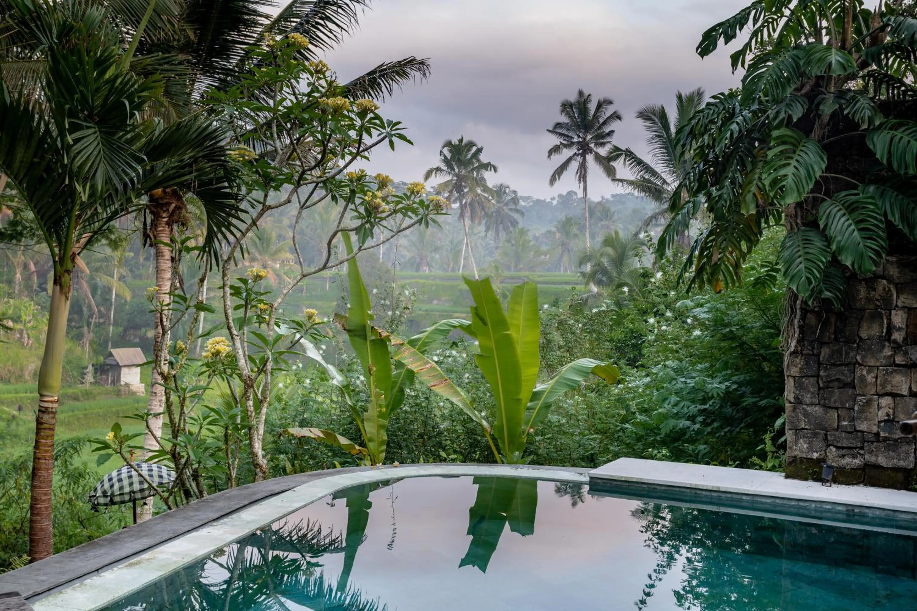 View (from property/room) in Nau Villa Ubud