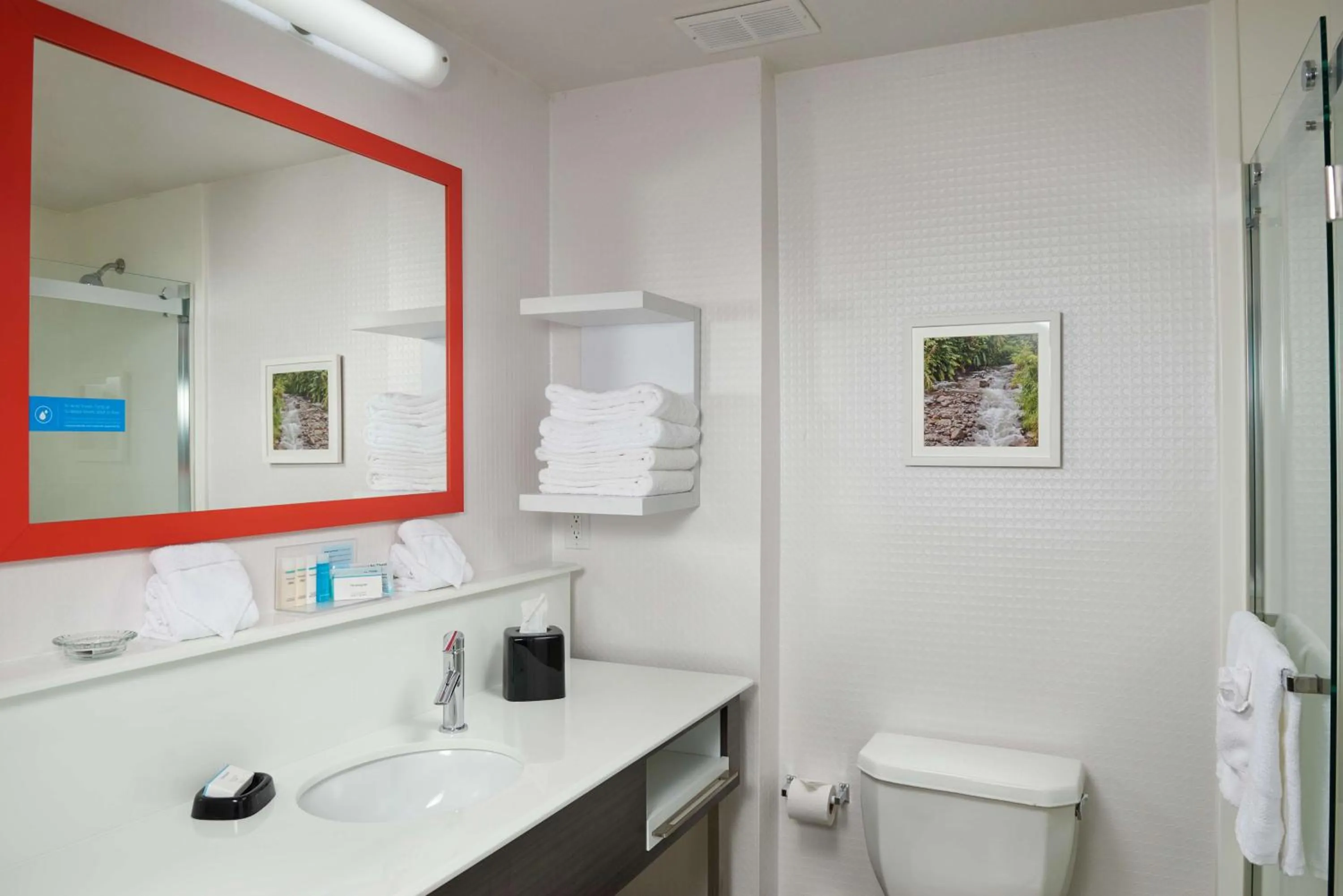 Bathroom in Hampton Inn Eagle Pass