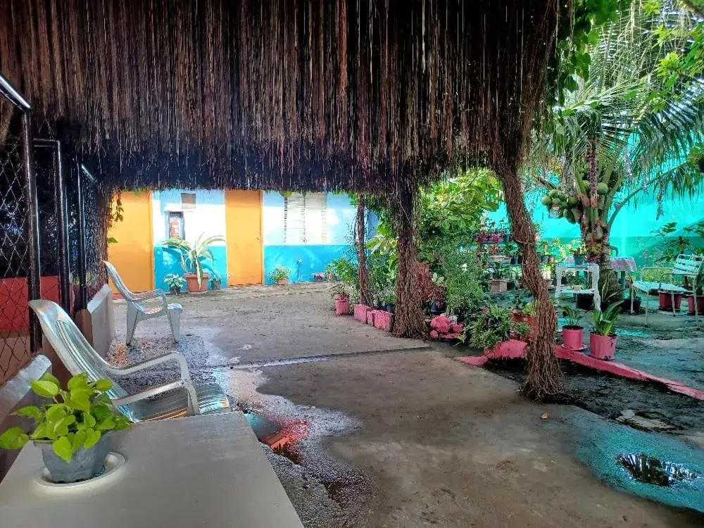 Garden view in Pete's inn Garden view in Pete's inn