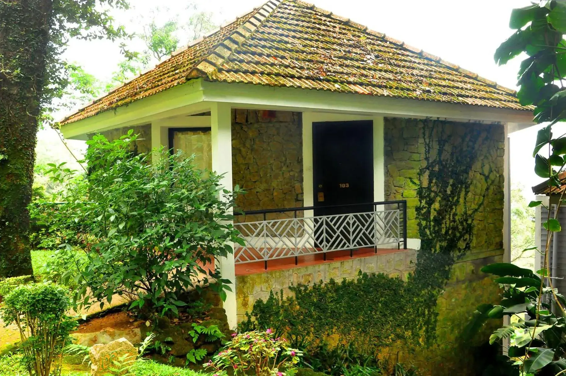 Property building in The Tall Trees Property building in The Tall Trees