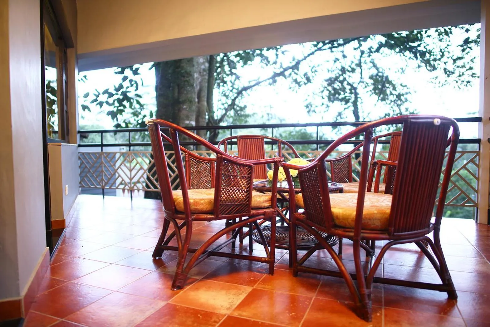Balcony/Terrace in The Tall Trees