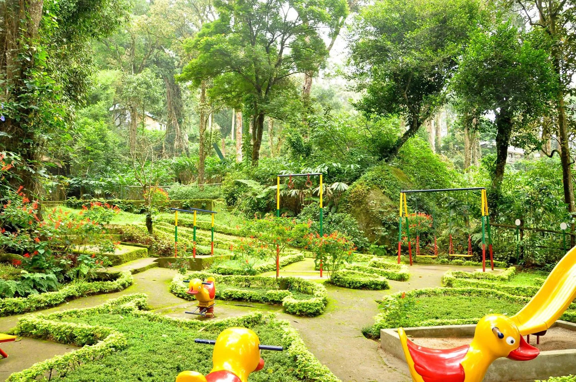 Children play ground in The Tall Trees