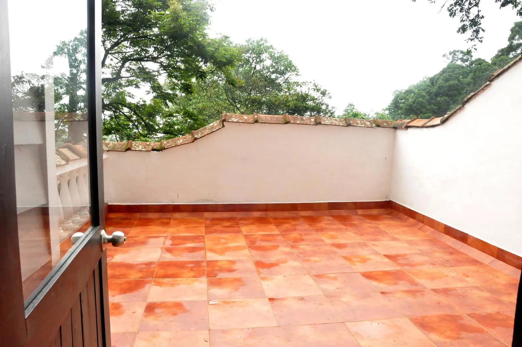 Balcony/Terrace in The Tall Trees