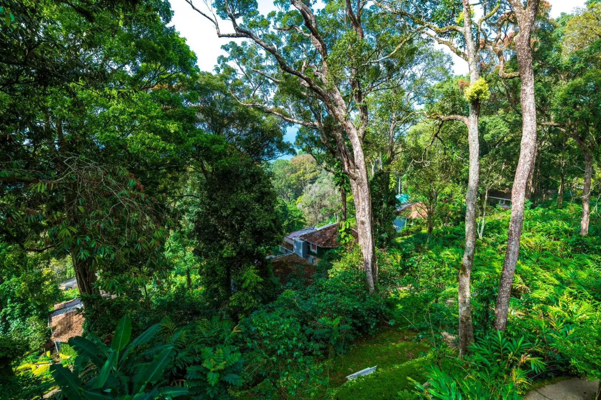 Garden view in The Tall Trees Garden view in The Tall Trees