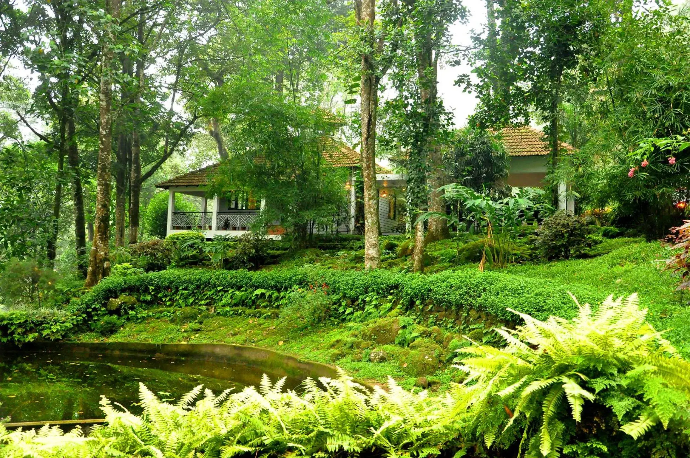 Property building in The Tall Trees Property building in The Tall Trees