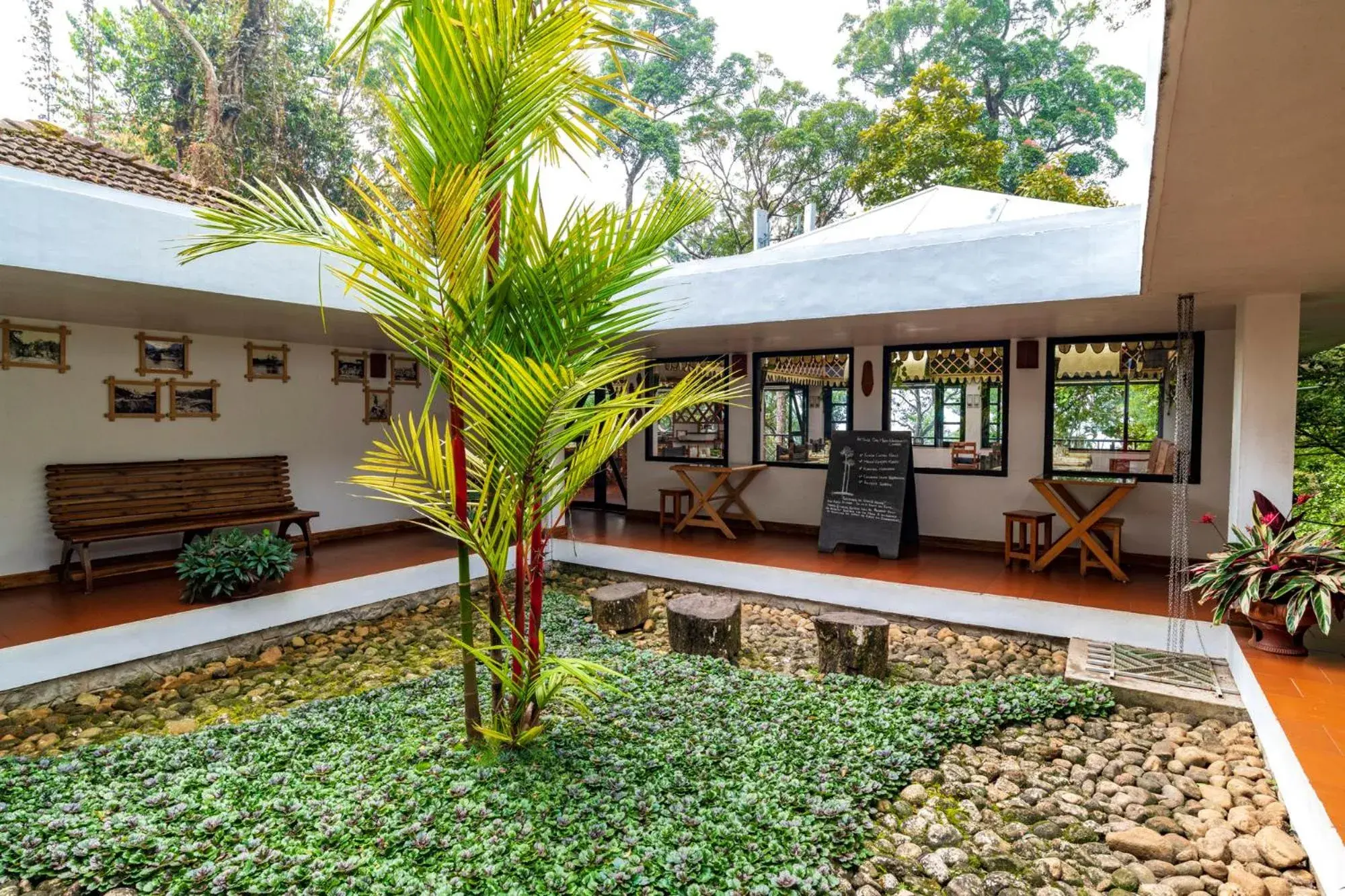 Restaurant/places to eat in The Tall Trees Restaurant/places to eat in The Tall Trees