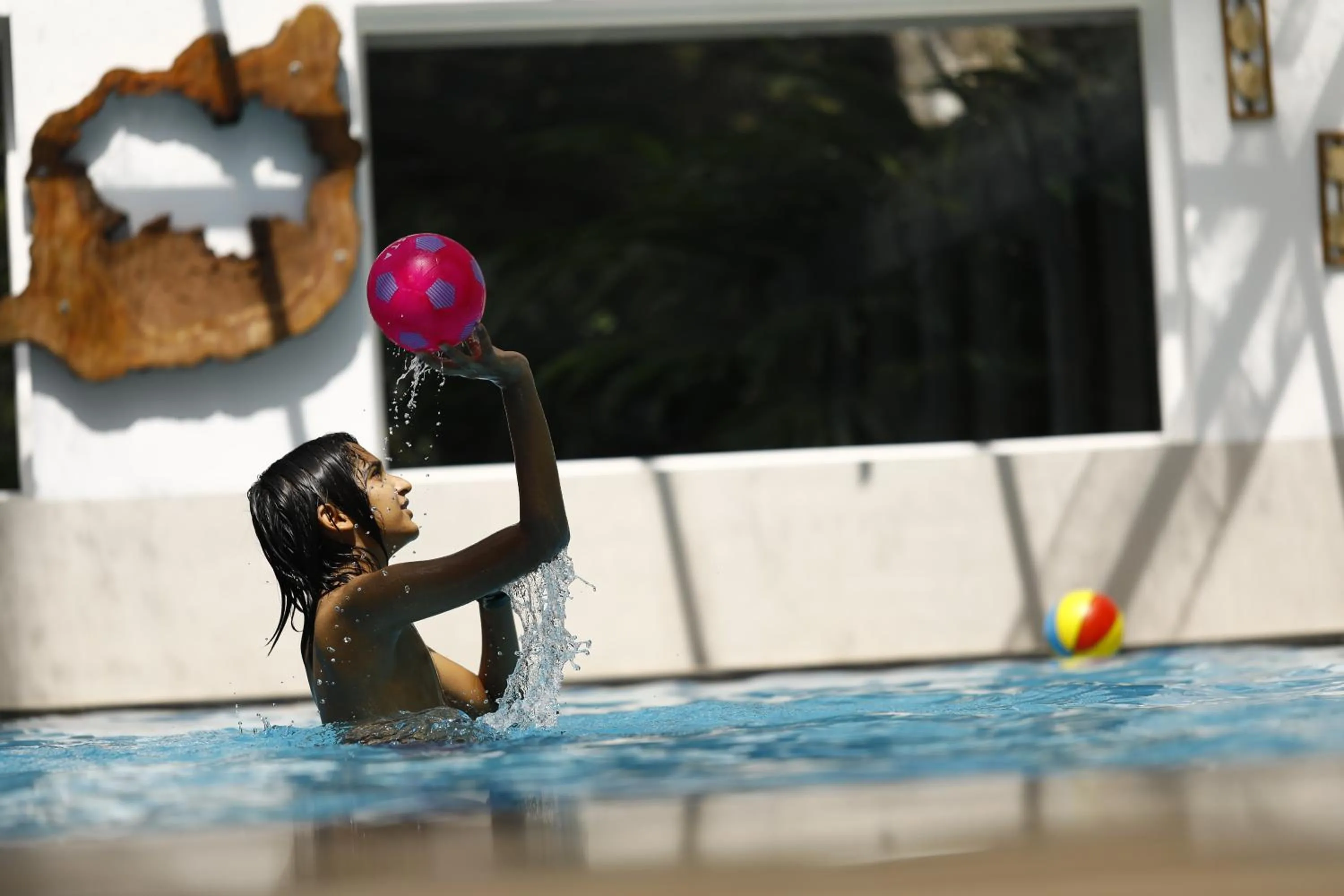Swimming pool in The Tall Trees