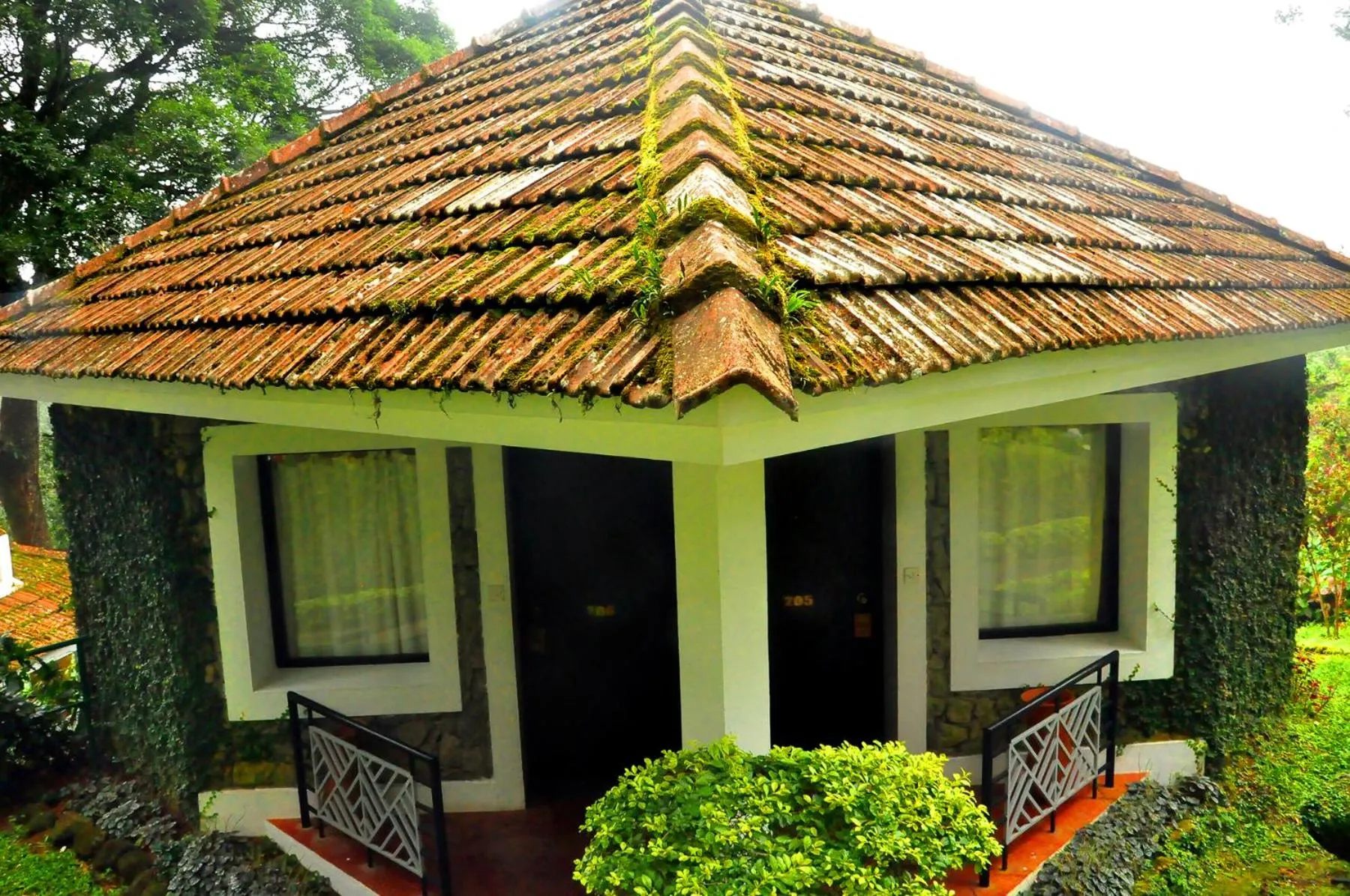 Property building in The Tall Trees