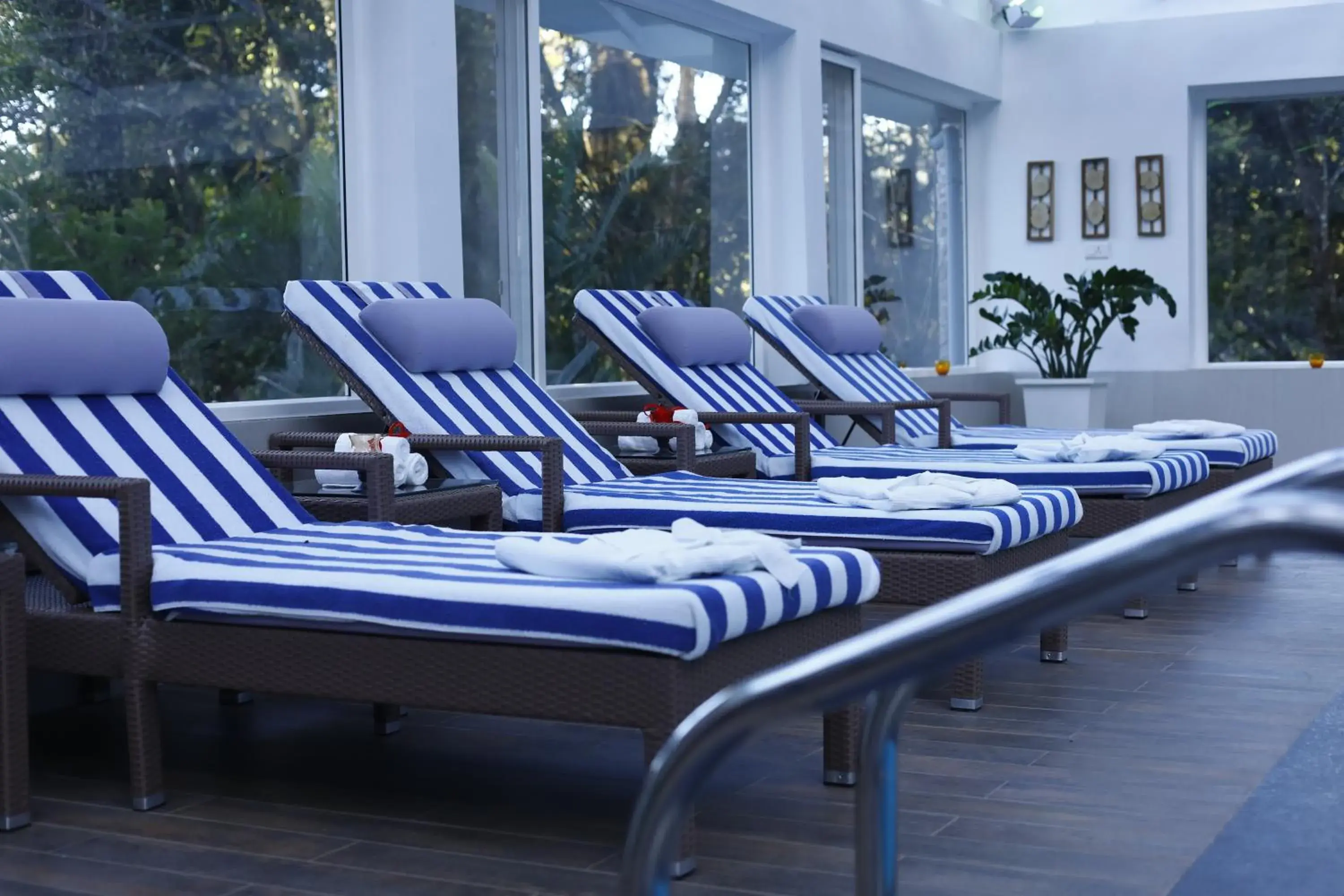 Swimming pool in The Tall Trees Swimming pool in The Tall Trees