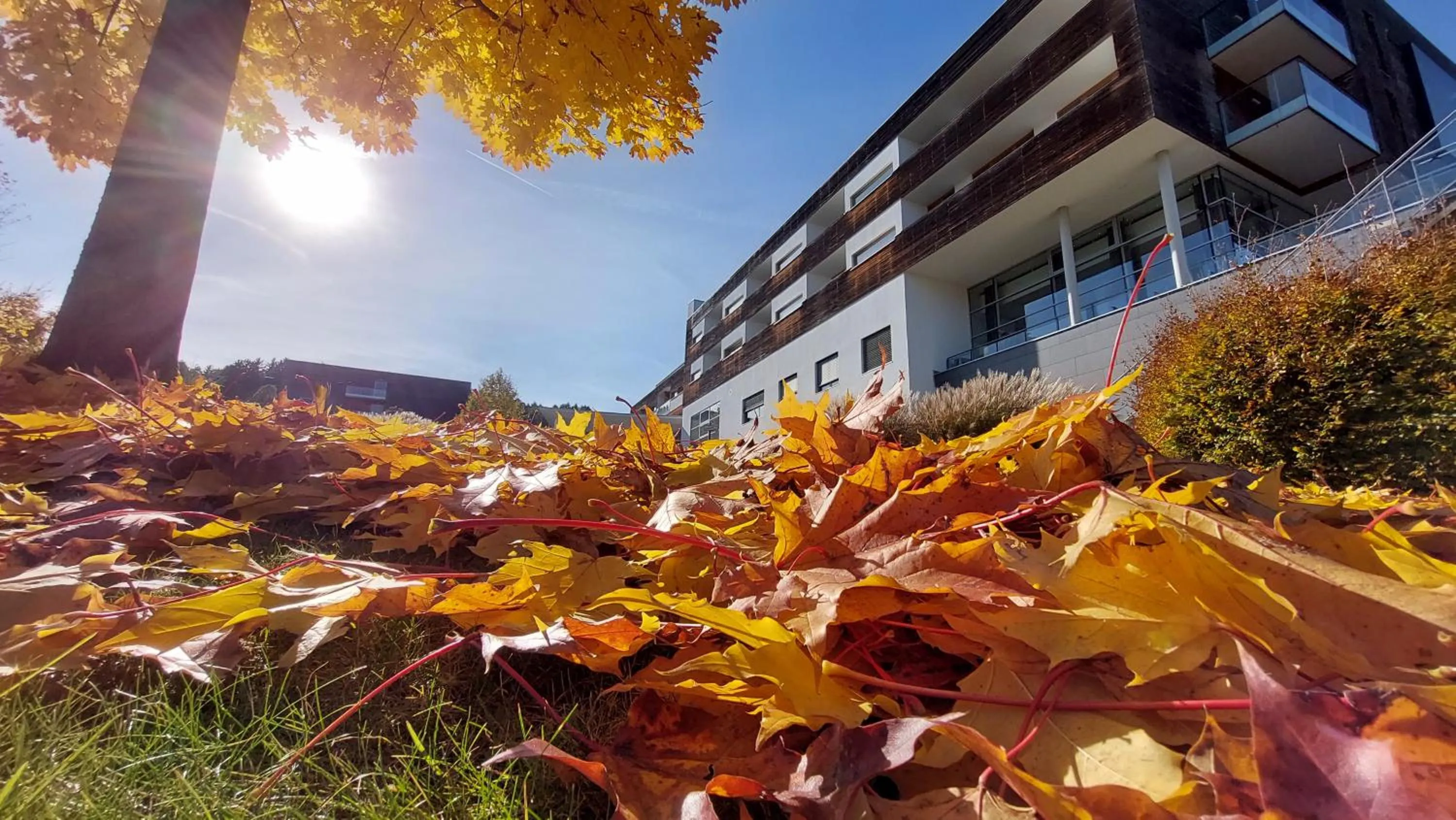 Property building in Spa Resort Styria- ADULTS ONLY