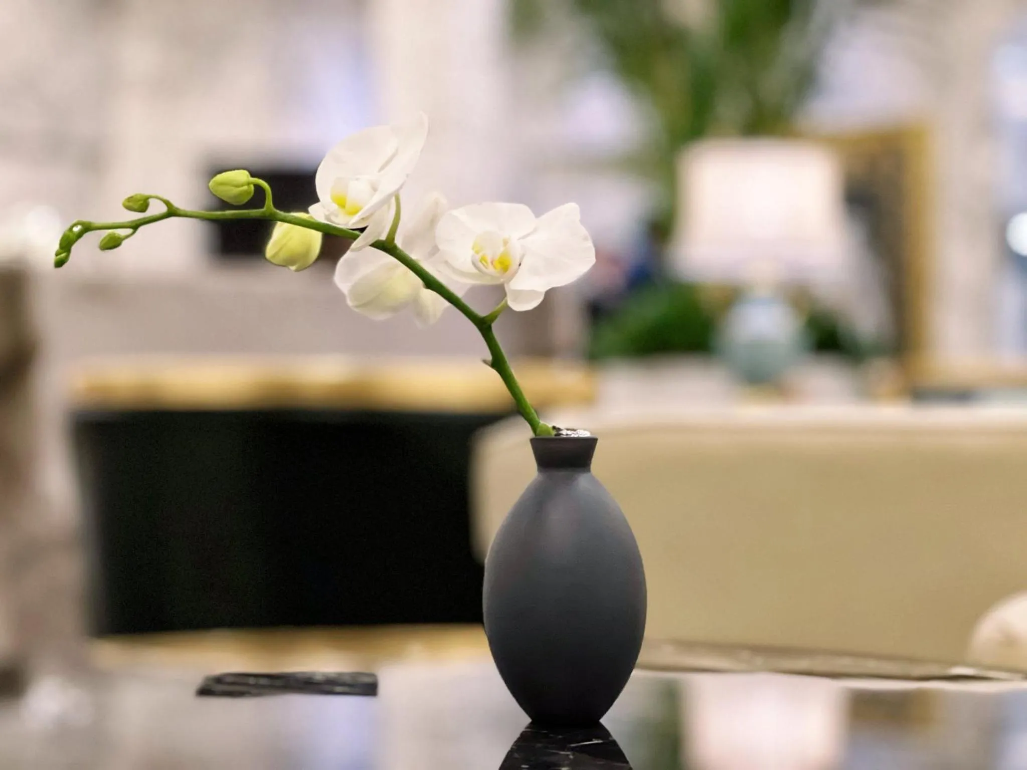 Property building in Crowne Plaza Zhengzhou by IHG