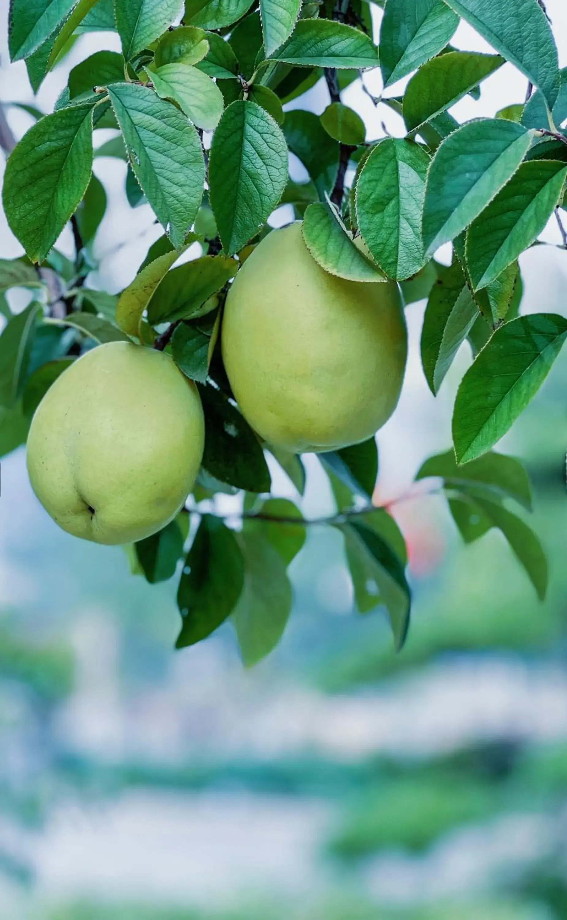 View (from property/room) in Crowne Plaza Zhengzhou by IHG View (from property/room) in Crowne Plaza Zhengzhou by IHG