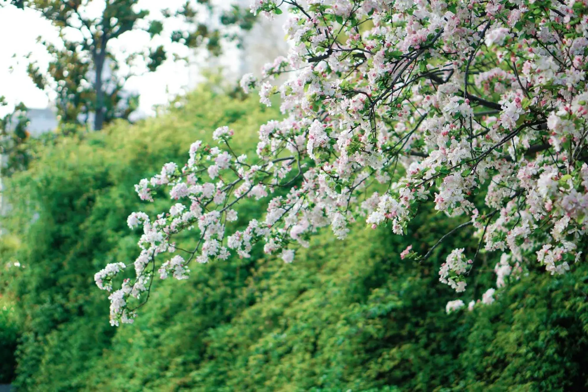 View (from property/room) in Crowne Plaza Zhengzhou by IHG View (from property/room) in Crowne Plaza Zhengzhou by IHG