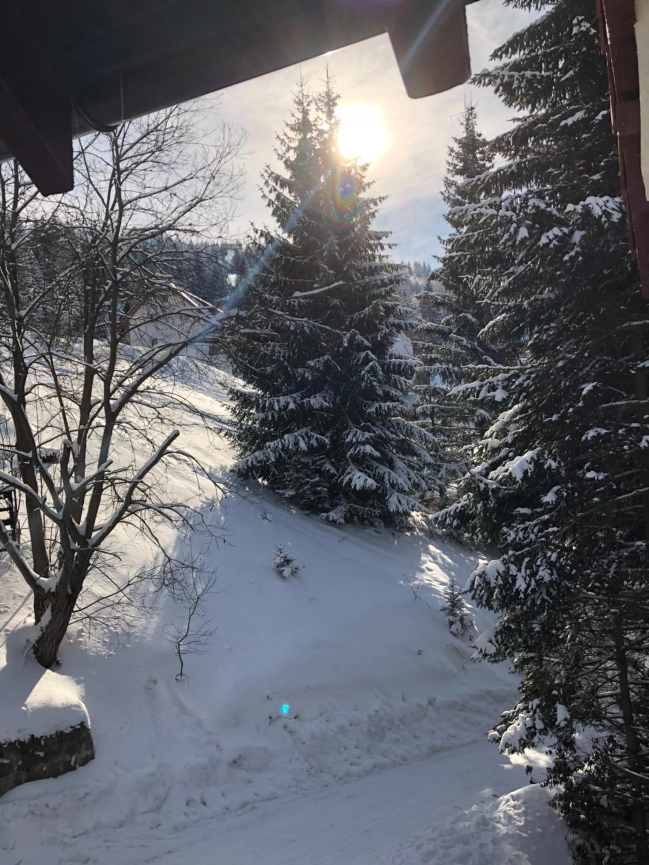 Stara Bačija