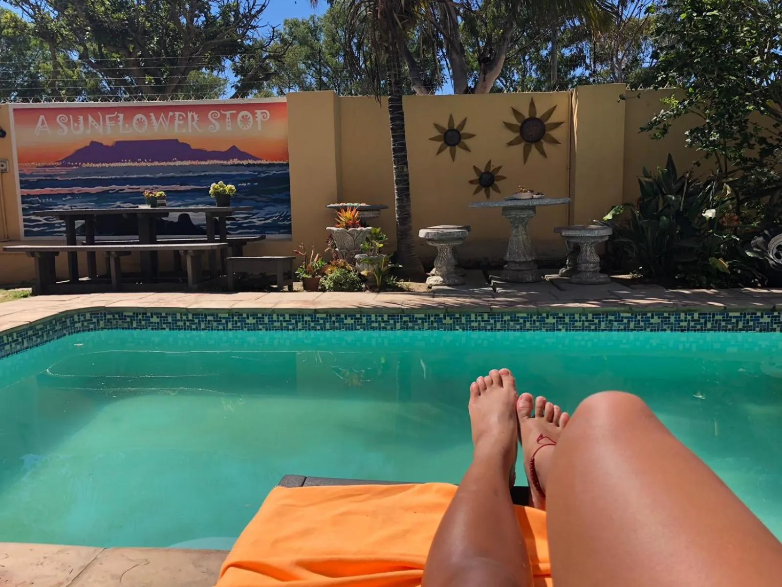 Garden view in A Sunflower Stop Backpackers